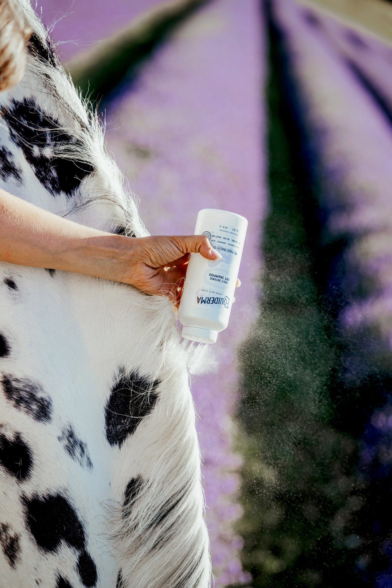Daily Defense Dry Shampoo