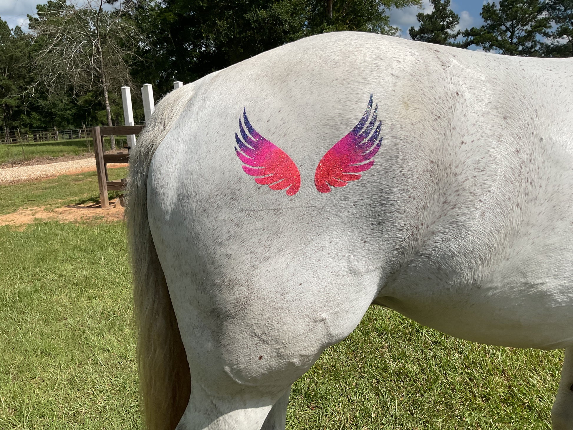 Bird Wings Minimarx