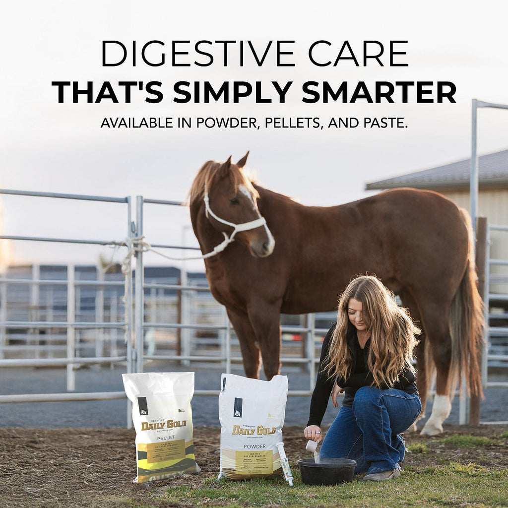 Daily Gold® Paste - Digestive Stress Relief for Horses