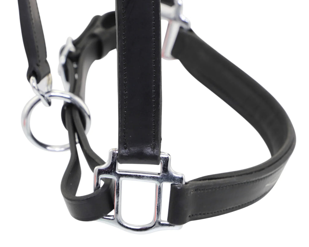 Eco Fancy Stitch Leather Halter