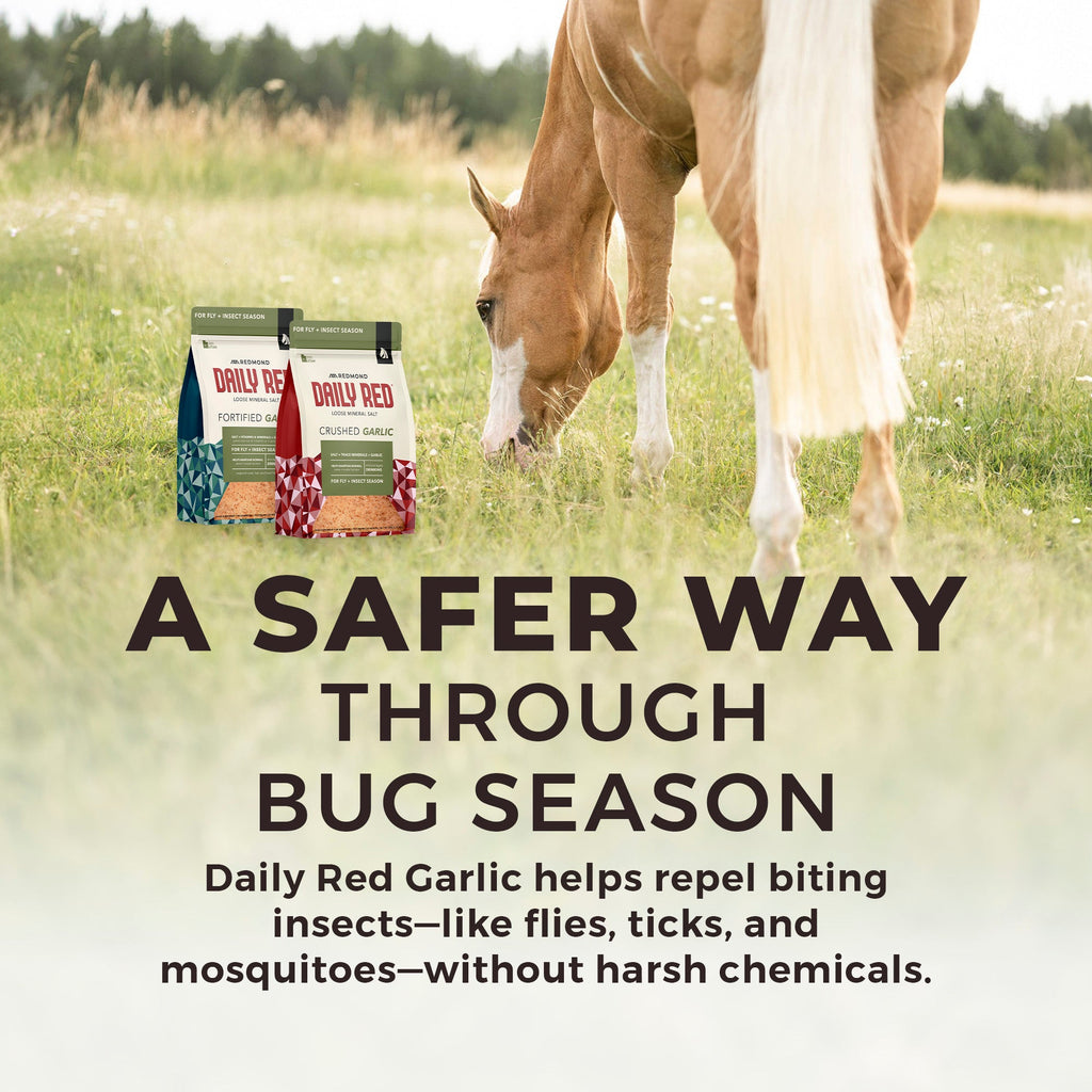 Daily Red® Crushed™ Garlic - Mineral Supplement for Horses