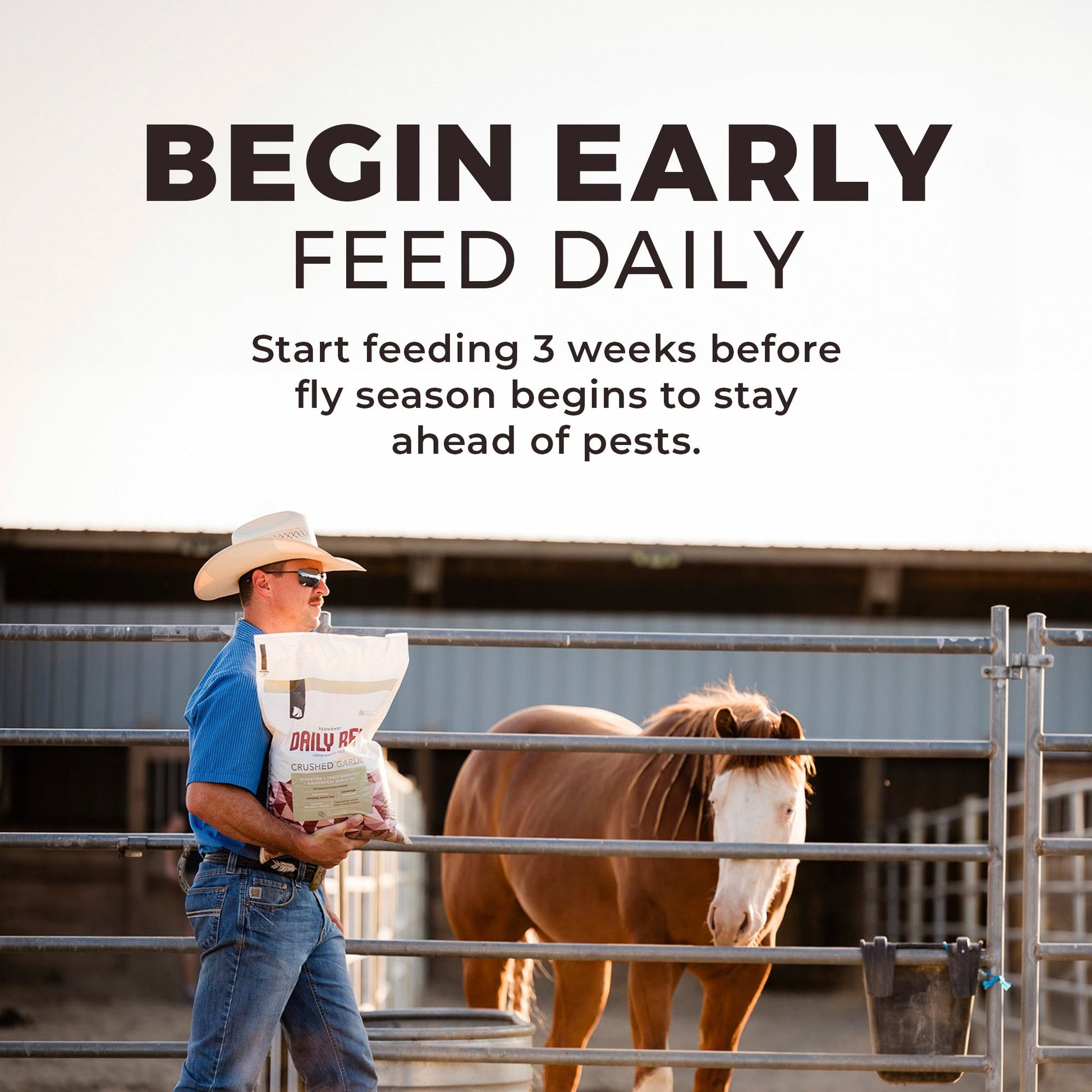 Daily Red® Crushed™ Garlic - Mineral Supplement for Horses