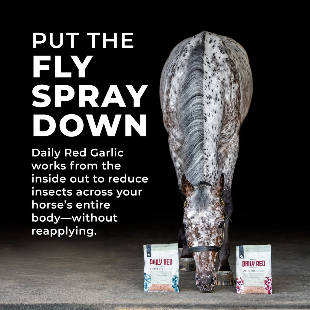 Daily Red® Fortified Garlic - Horse Vitamin & Mineral Supplement