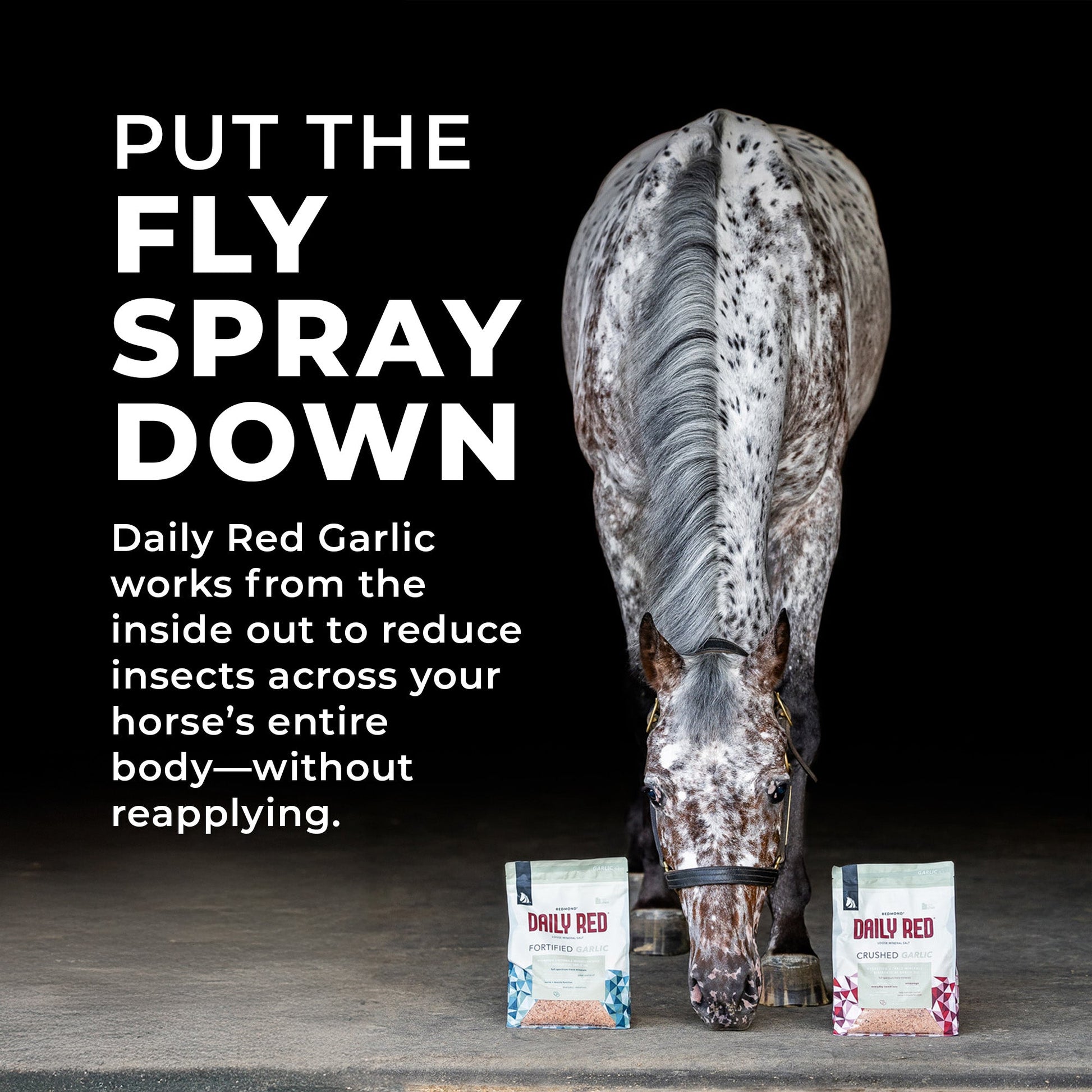 Daily Red® Fortified Garlic - Horse Vitamin & Mineral Supplement