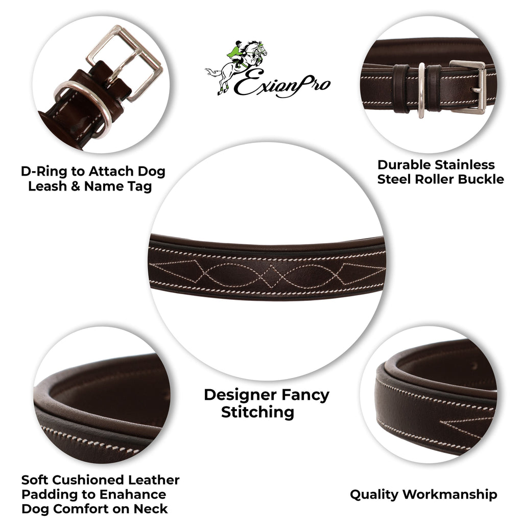 ExionPro Fancy Stitched Padded Leather Dog Collar - Oak Brown Padding