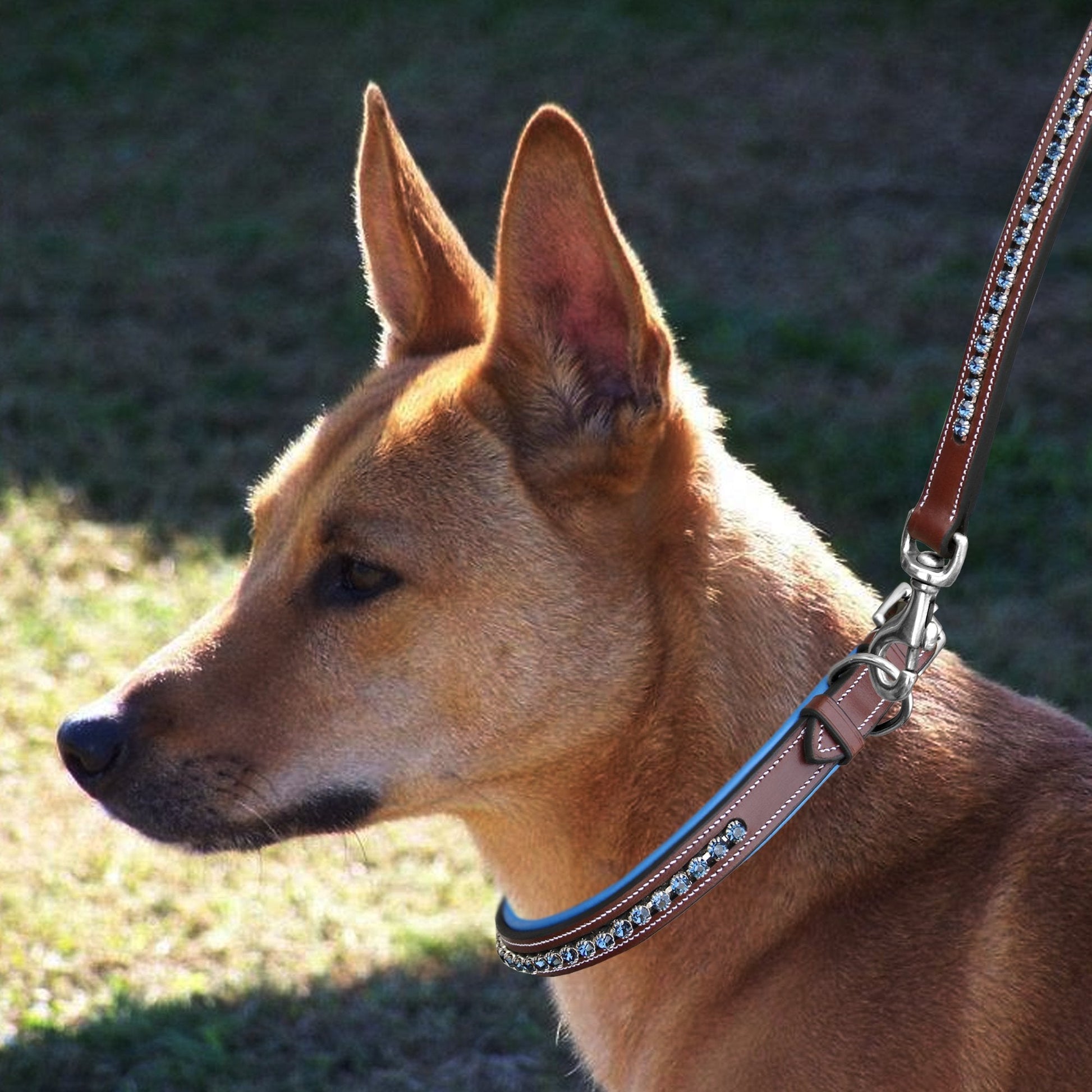 ExionPro Dark Blue Bling Dog Collar With Leash