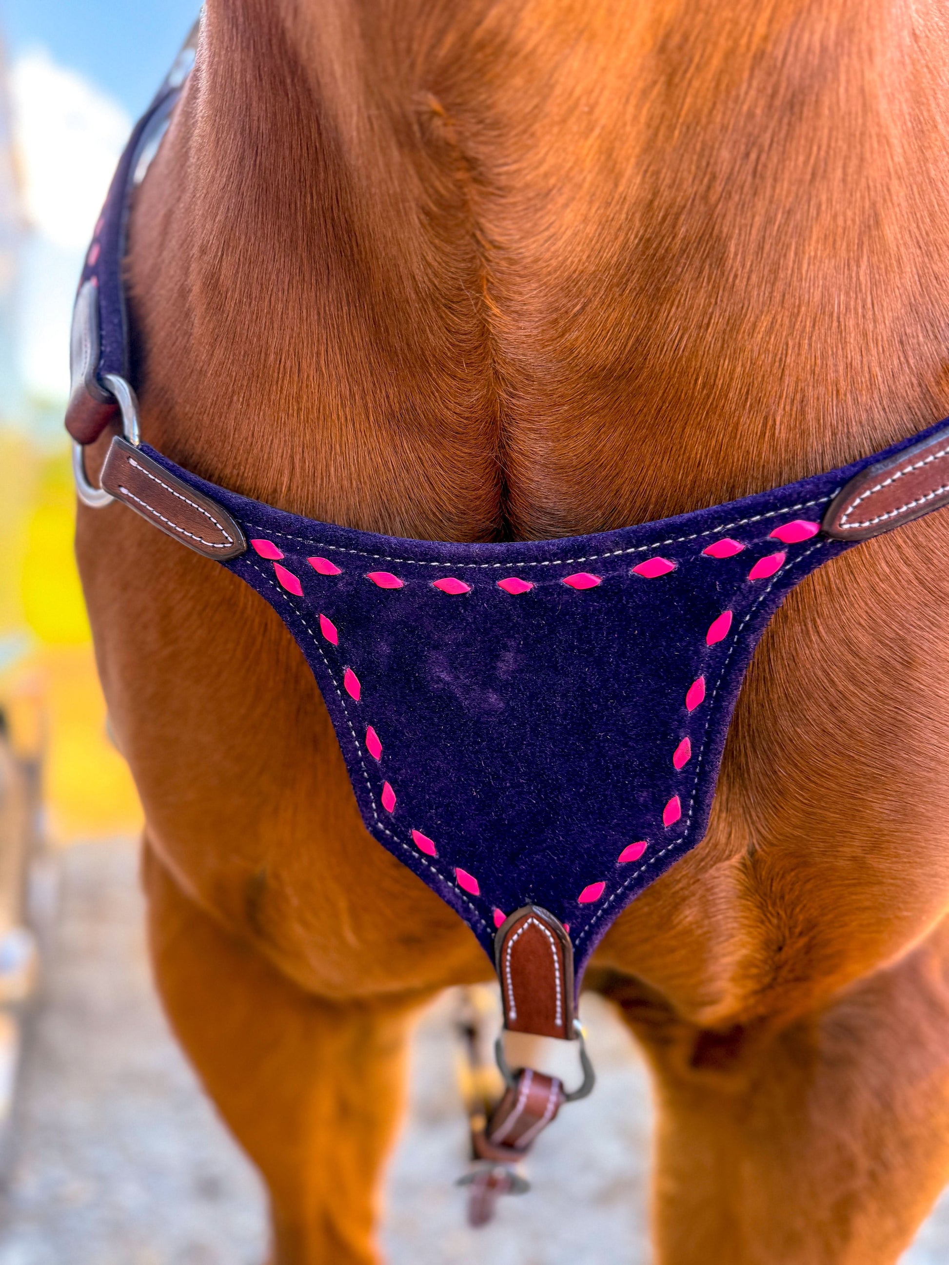 Bar-B Pink on Berry Purple BuckStitch Betty Bikini Breast Collar