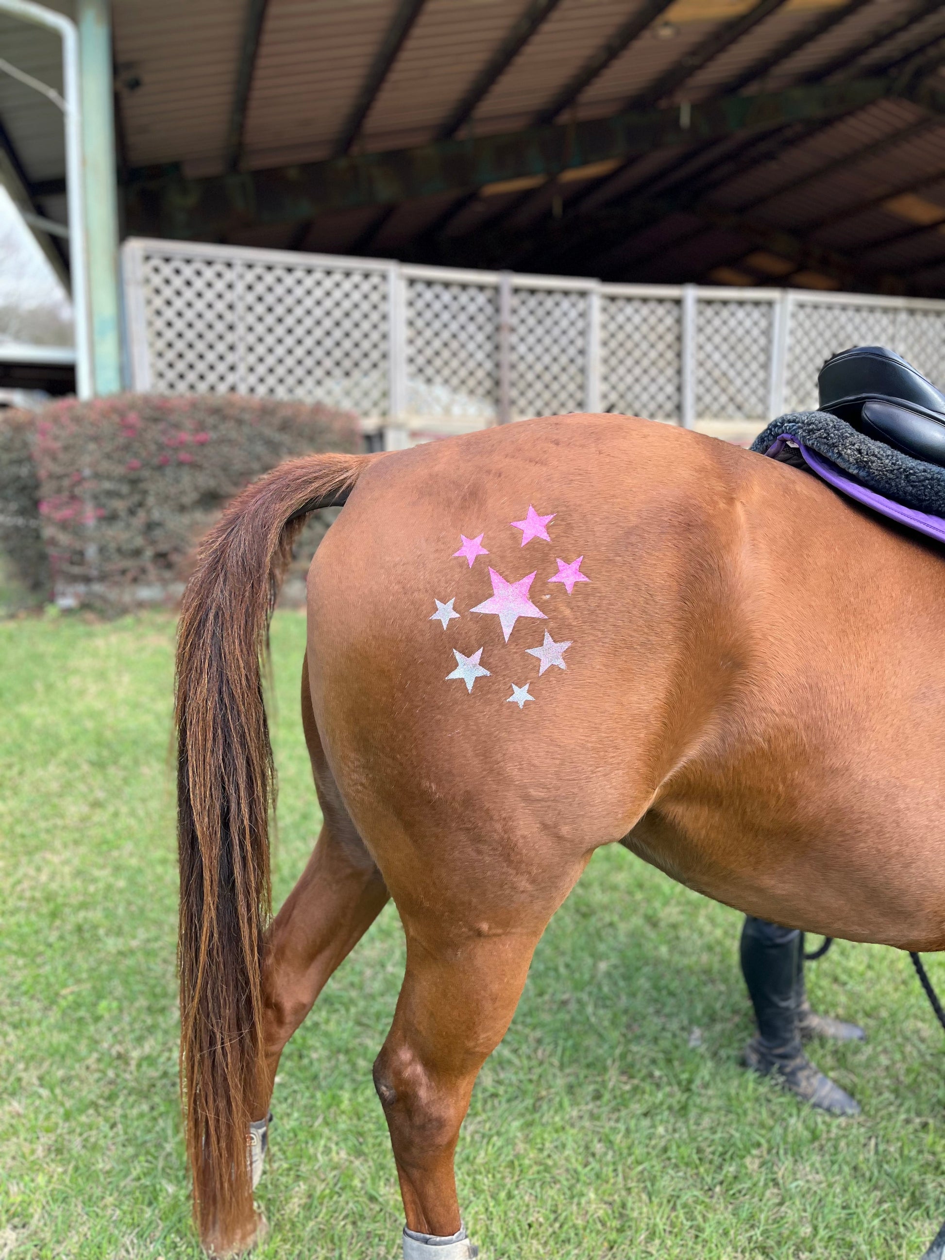 Star Multi