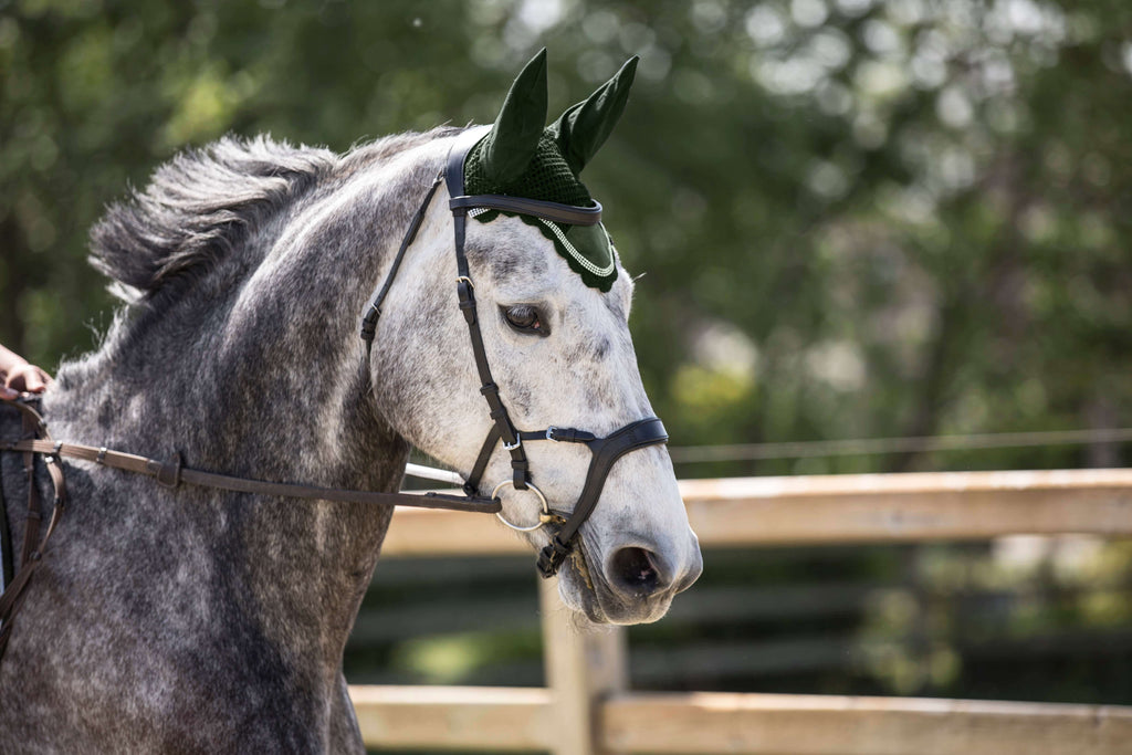 Sage Green Suede Saddle Pad Set
