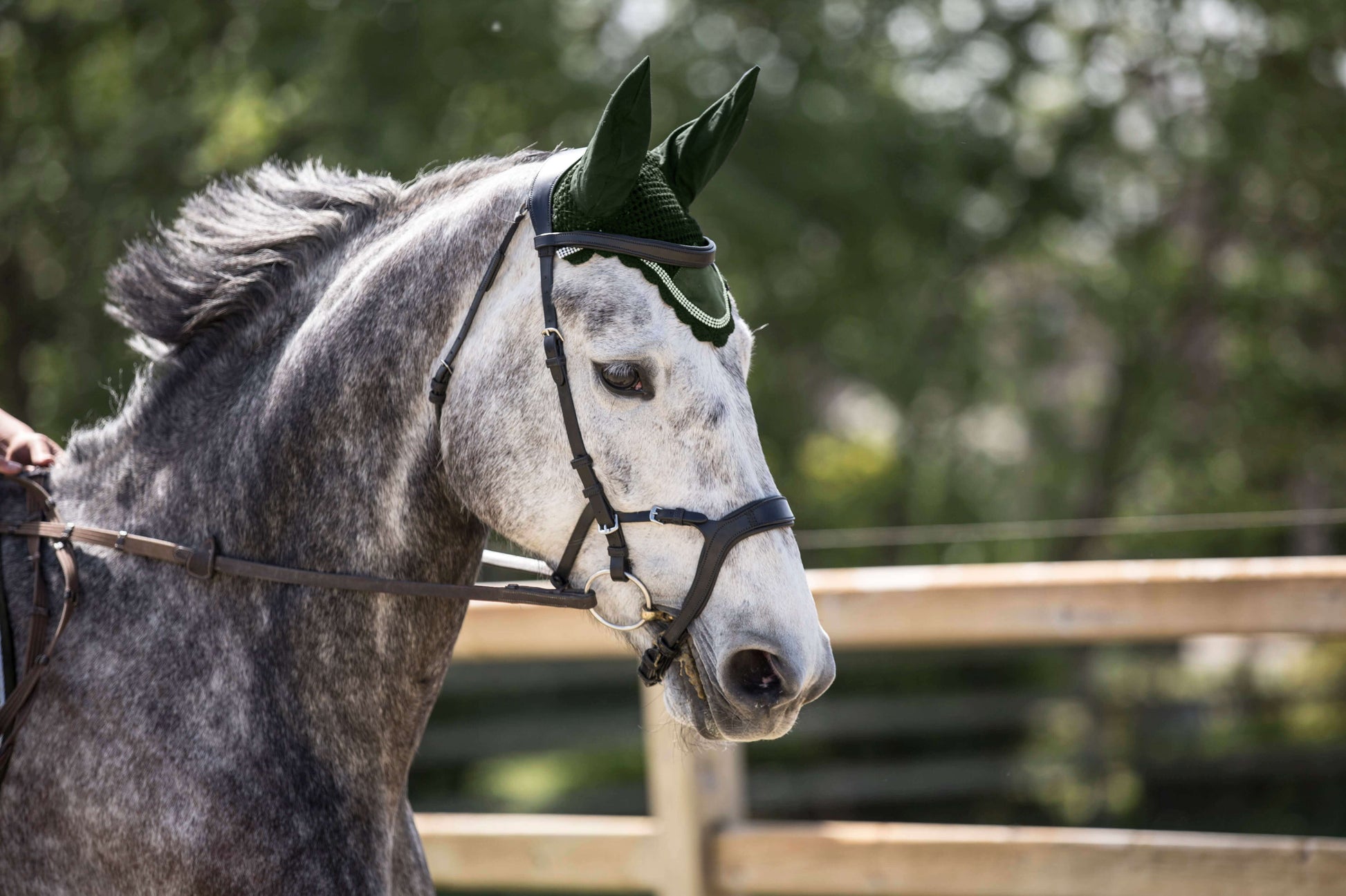 Sage Green Suede Saddle Pad Set