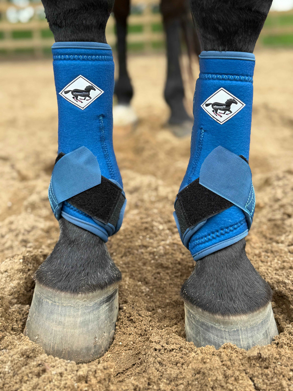 September Limited Edition: Cerulean Xtreme Sport Boots