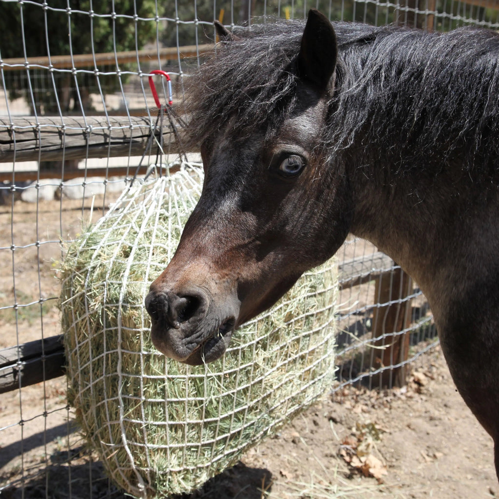 Freedom Feeder Trailer/Mini Hay Net - Slow Feed Hay Net - 2 Flake  - 3 Size Mesh Options