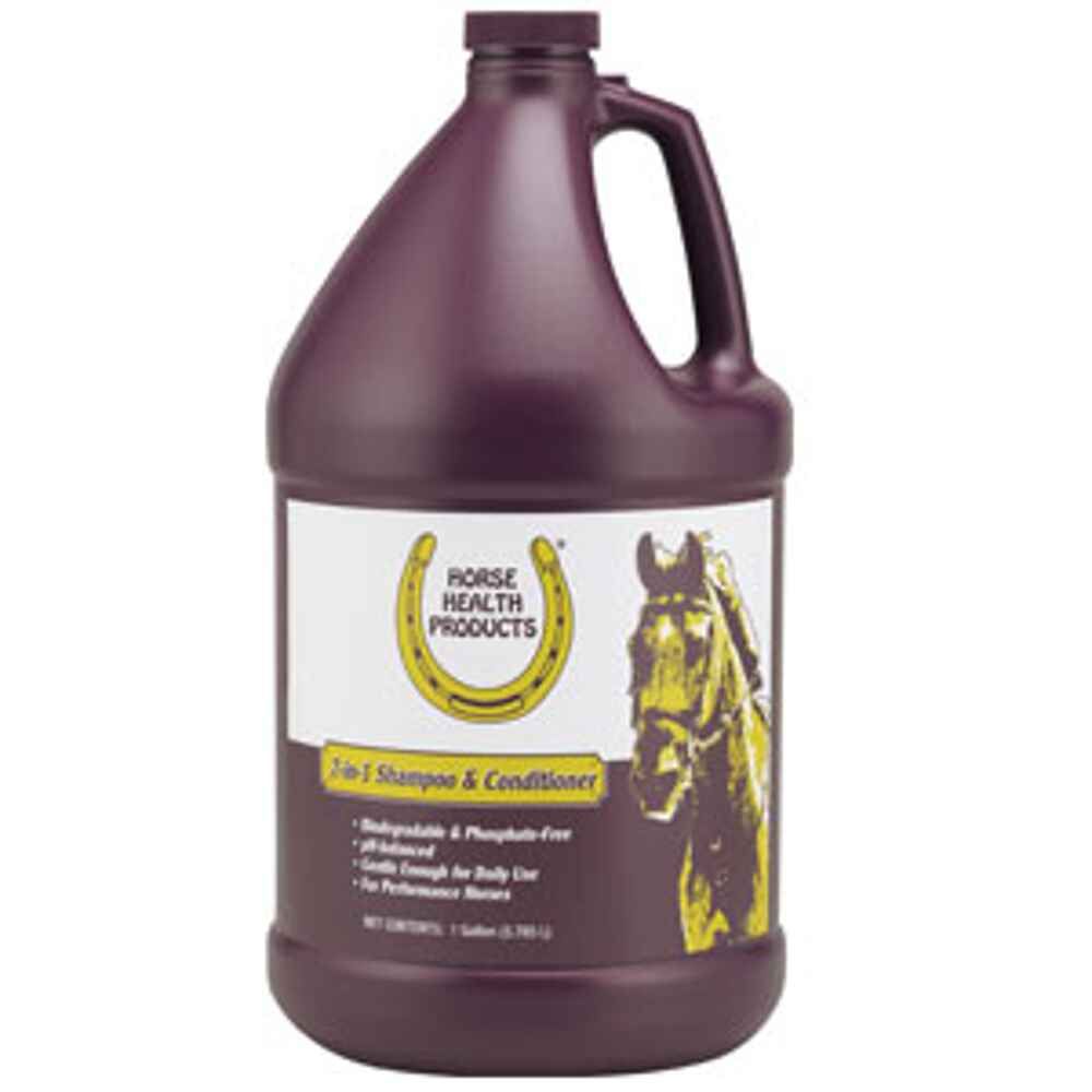 2-IN-1 SHAMPOO & CONDITIONER GAL