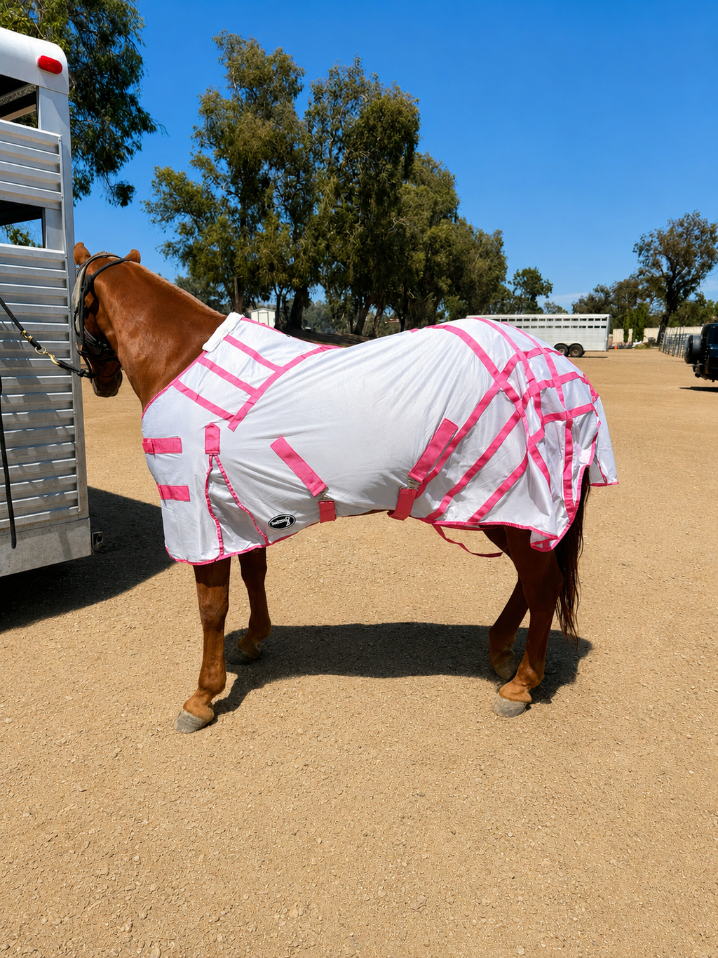 ByeBye Fly Sheets