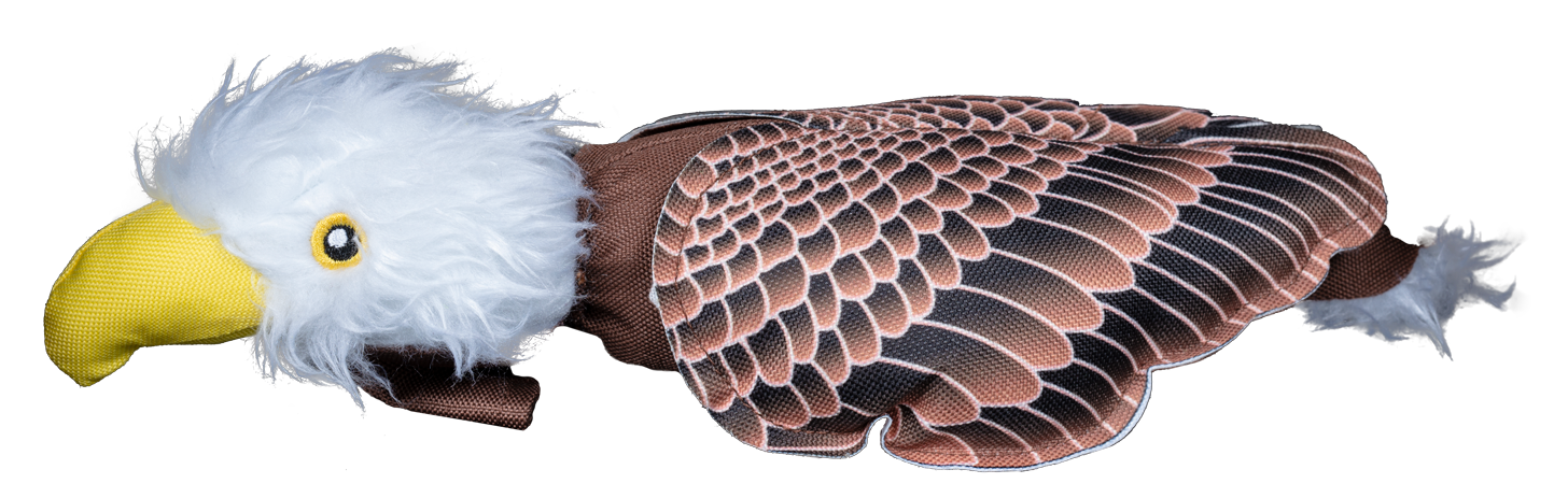 Fly & Fetch Eagle