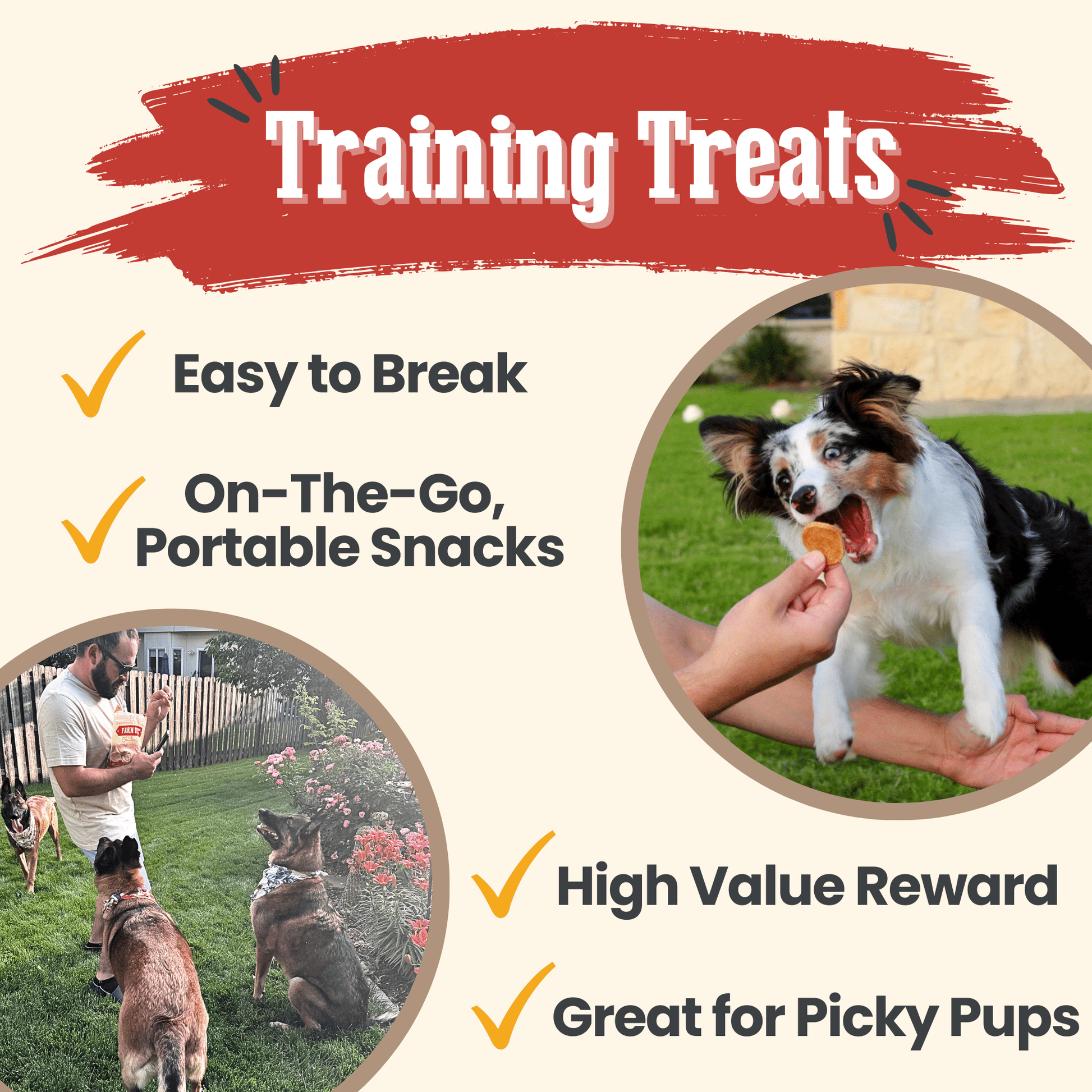 Chicken Chips for Dogs | All-Natural Single-Ingredient Dog Treats