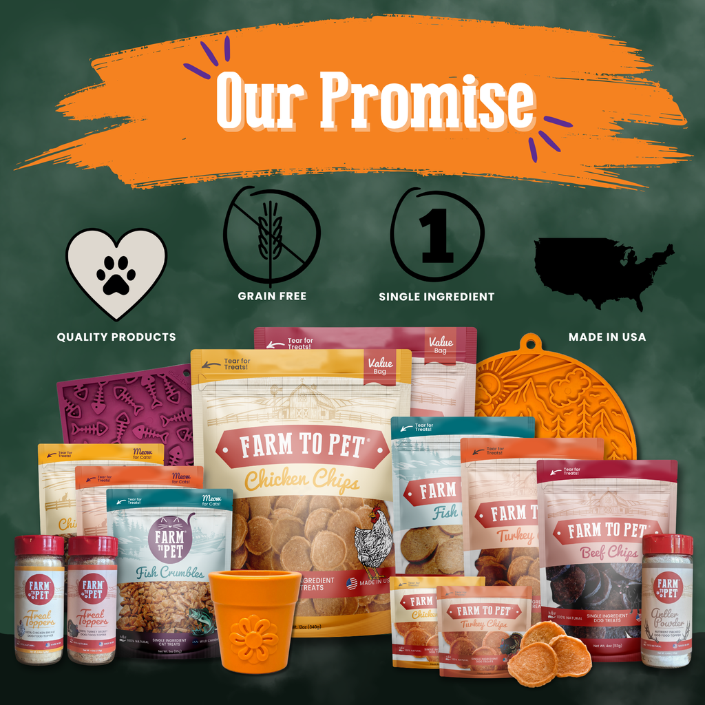 Pet Treat Molds