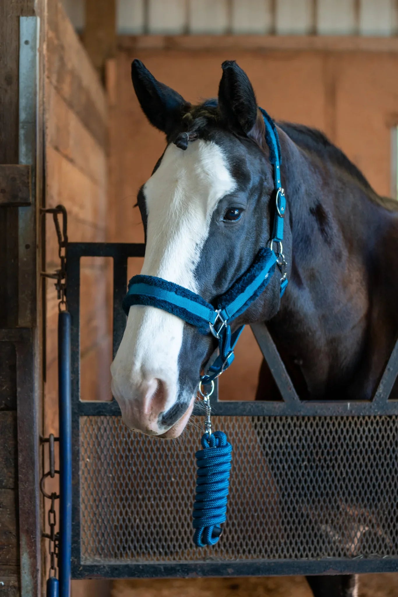 Fleece-Lined Nylon Halter with Lead Rope