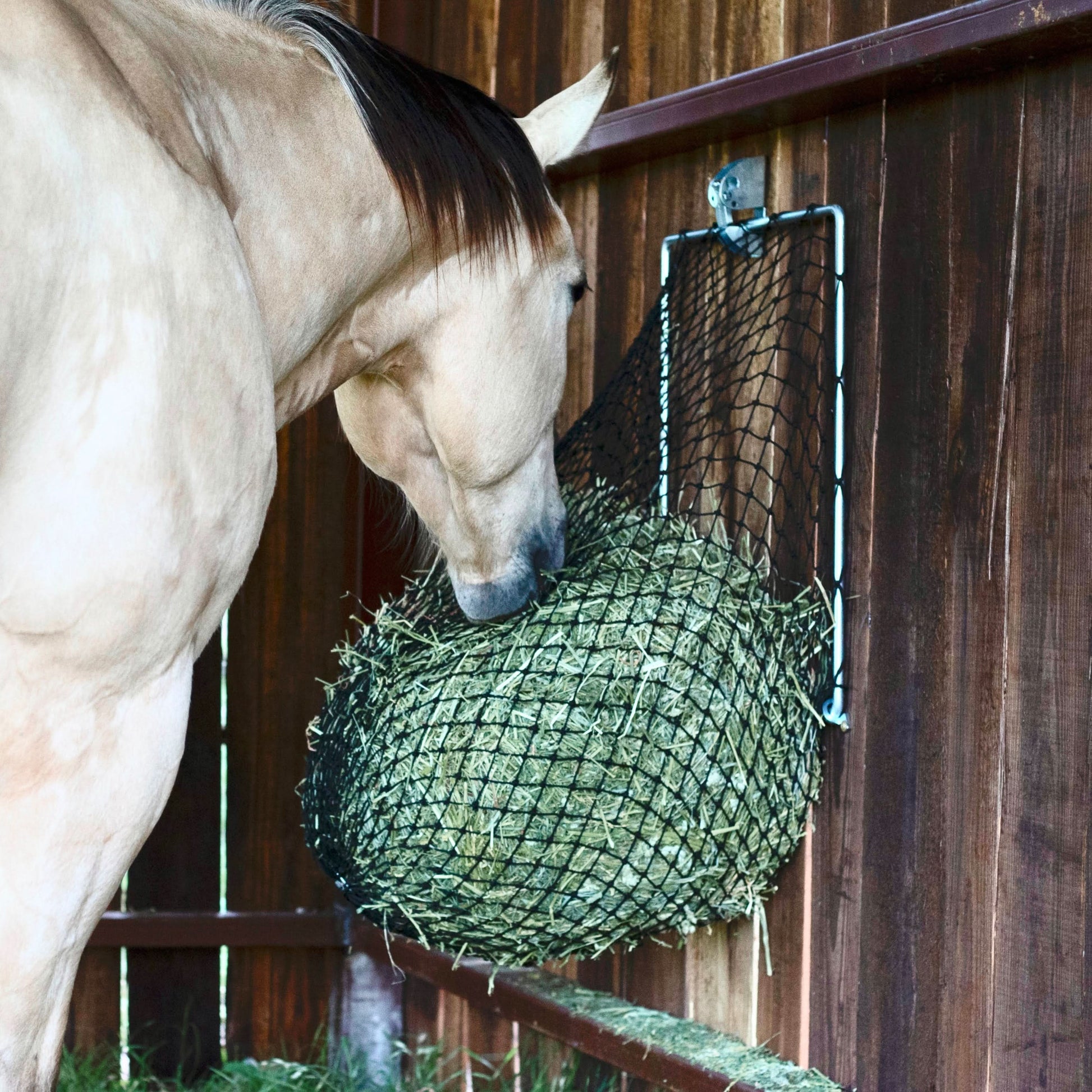 Hay Chix® Free Up Feeder