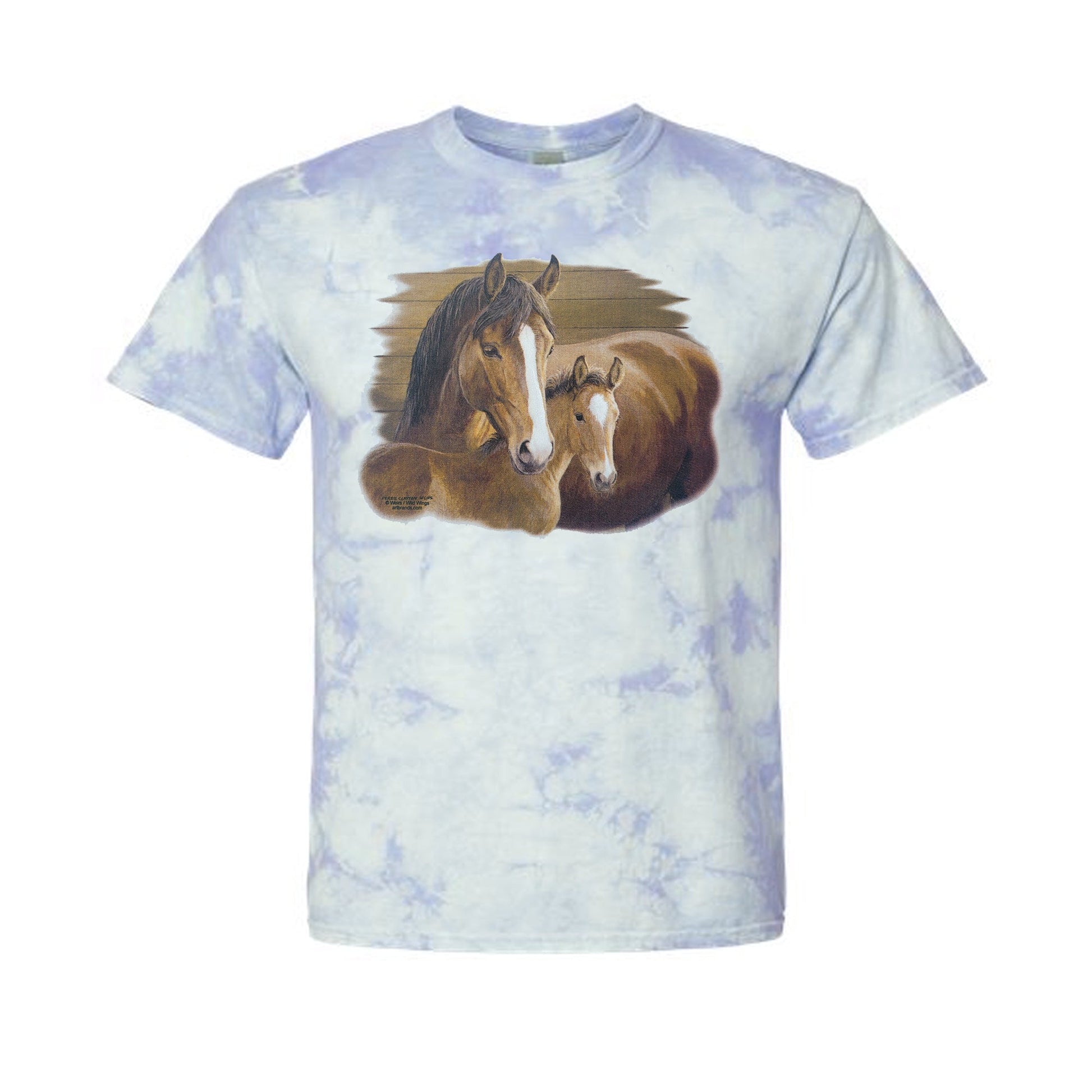 Equine Art Youth Tie Dye T-Shirt