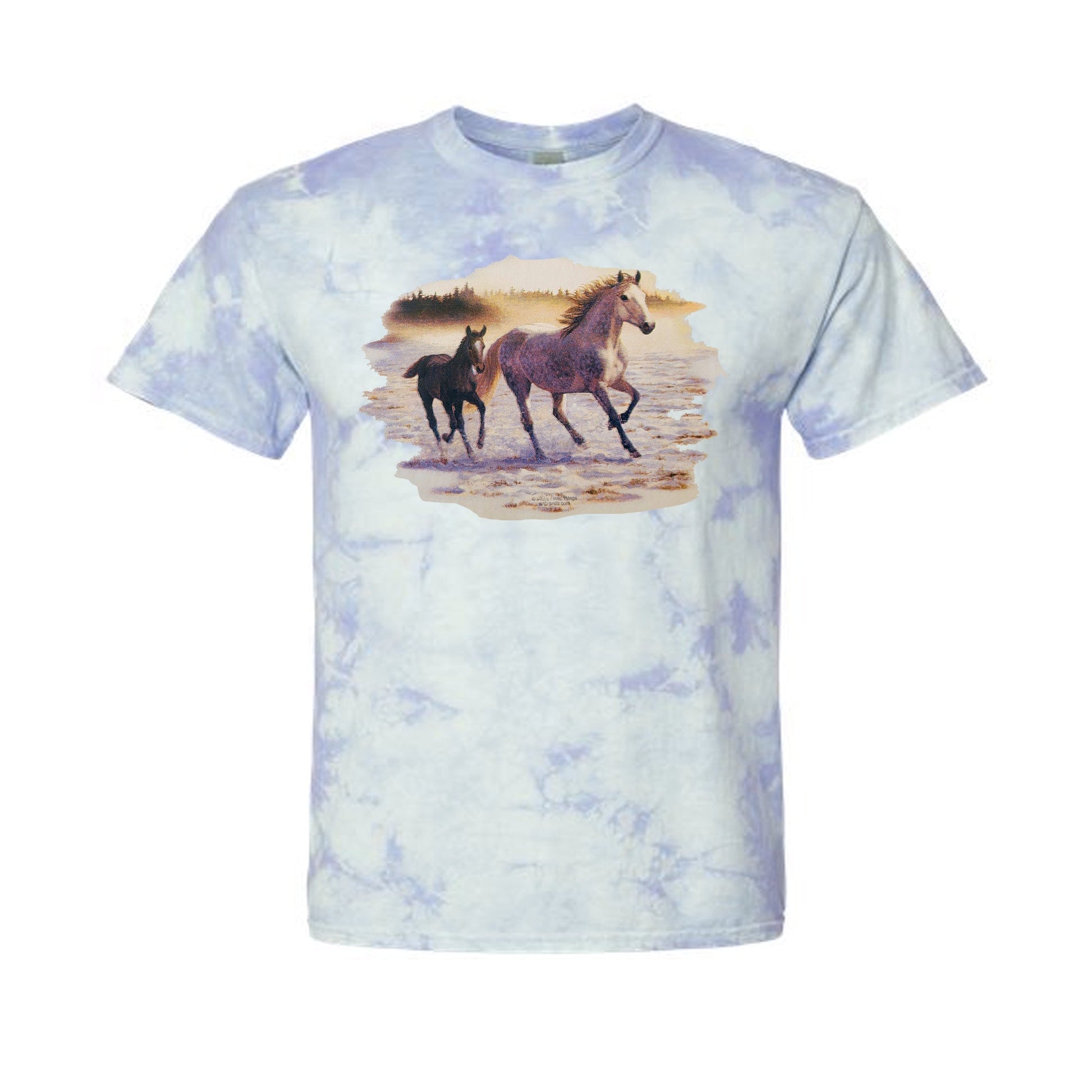 Equine Art Youth Tie Dye T-Shirt