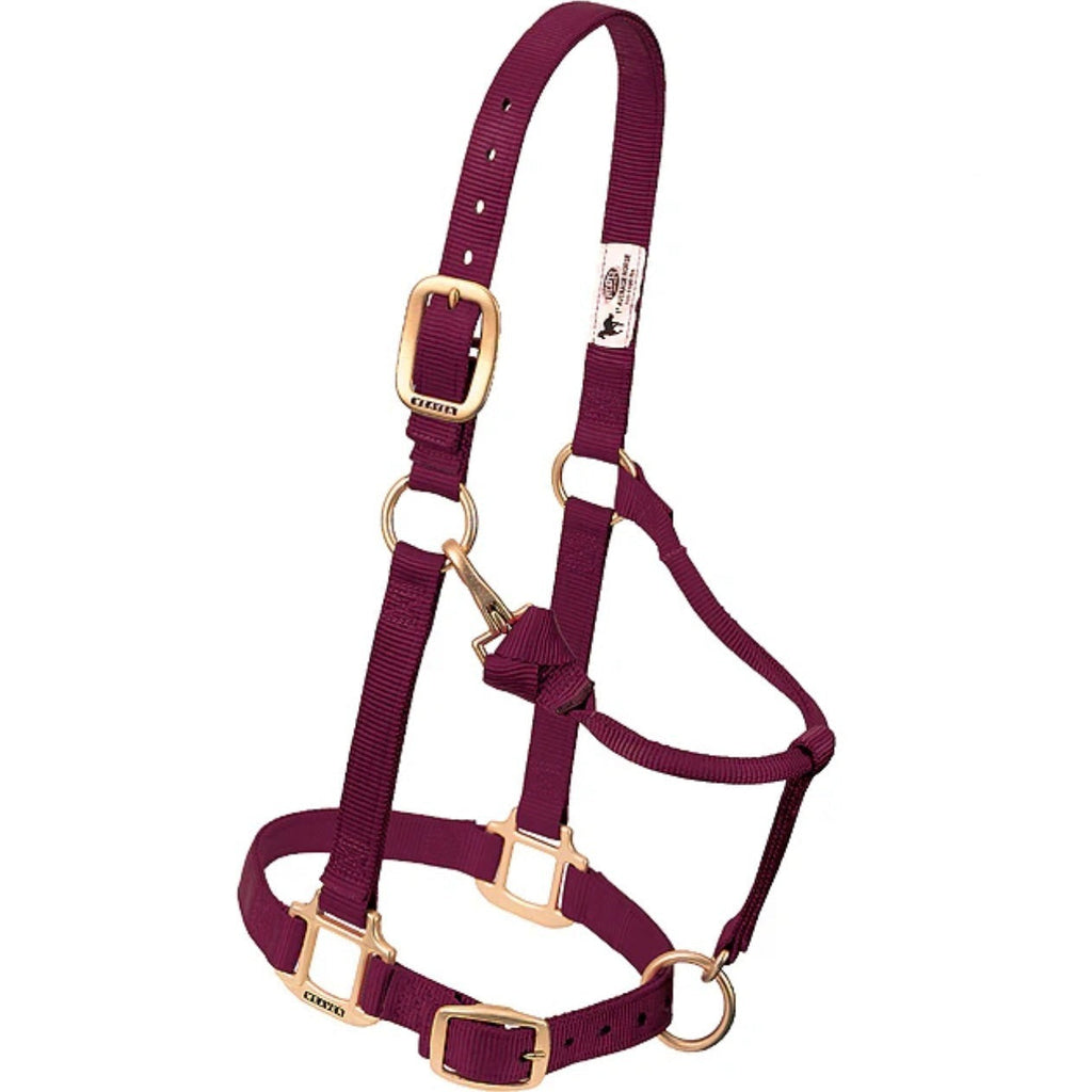 Nylon Halter | Weaver