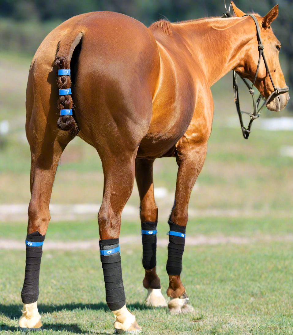TailCinch™  Tail Ties (Original)