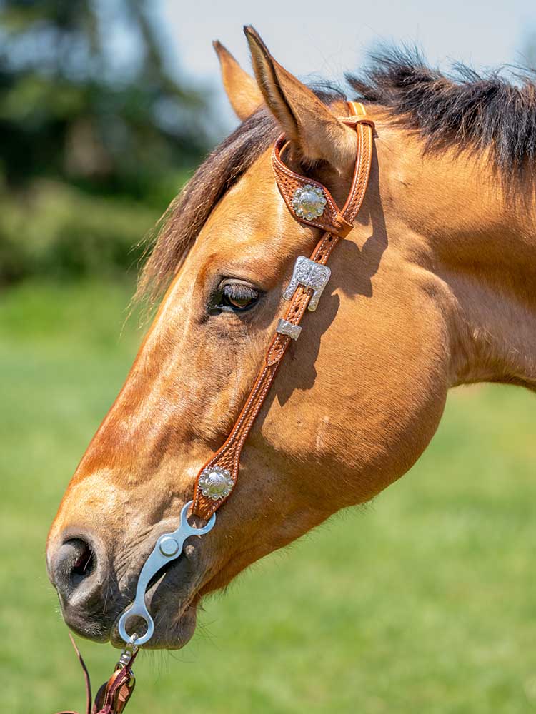 Millsboro One Ear Headstall
