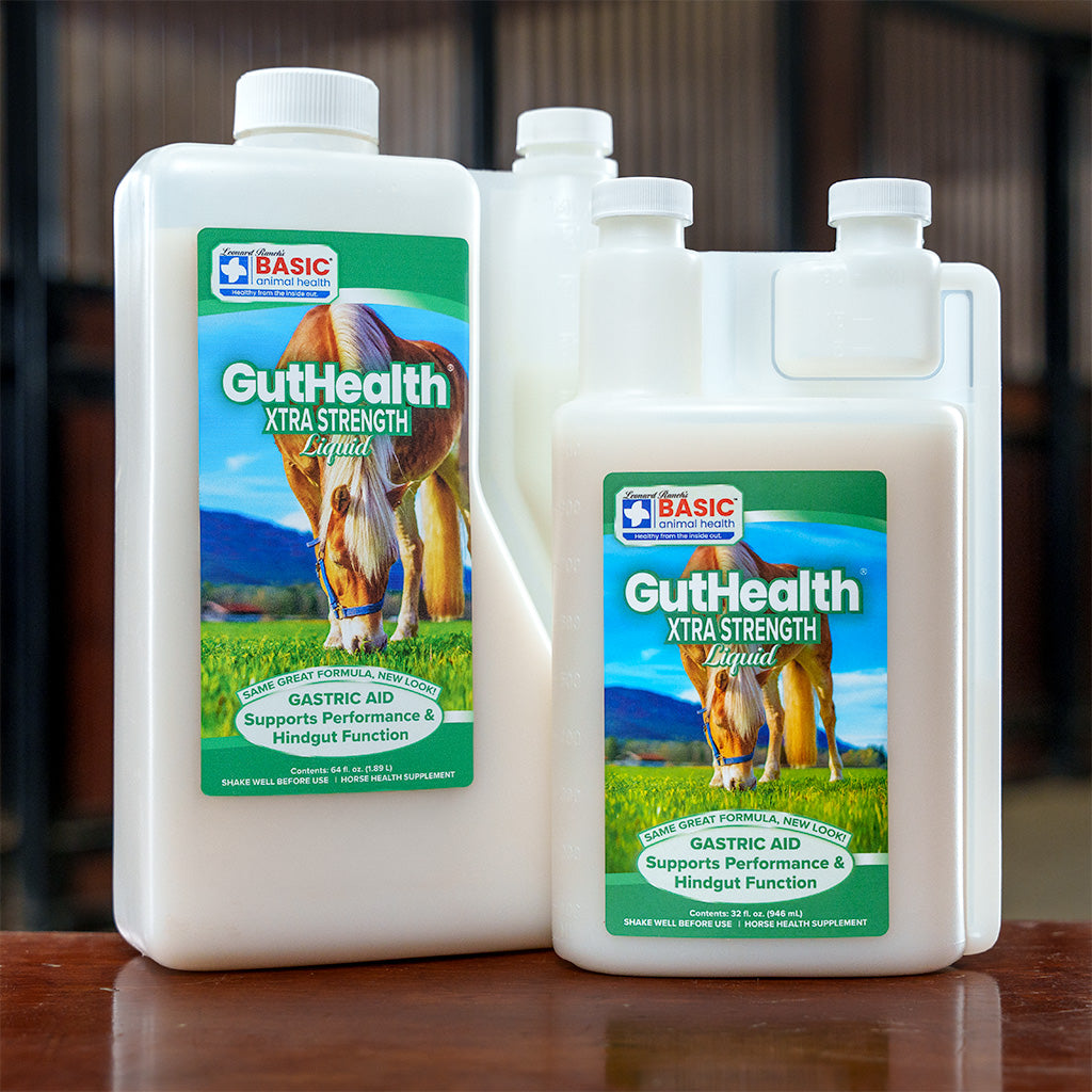 GutHealth Xtra Strength Liquid