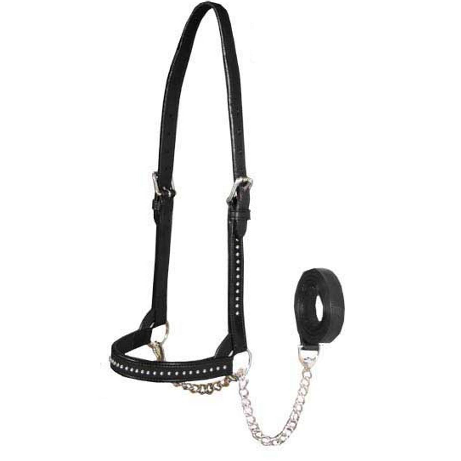 Derby Originals New and Improved Premium Show Spotted Flat Leather Cattle Show Halter, Small/Medium/Large, Adjustable Fit with 48" Lead and 14" Chain, Durable Hardware, 1-Year Warranty