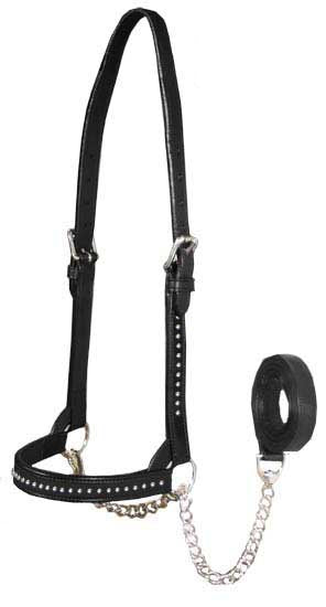 Derby Originals New and Improved Premium Show Spotted Flat Leather Cattle Show Halter, Small/Medium/Large, Adjustable Fit with 48" Lead and 14" Chain, Durable Hardware, 1-Year Warranty