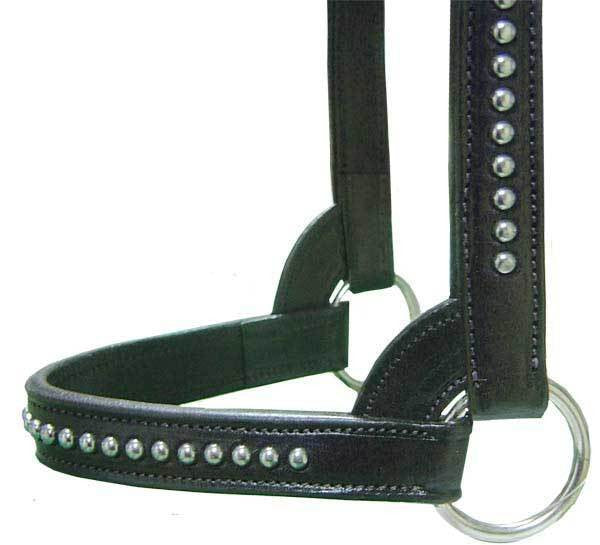 Derby Originals New and Improved Premium Show Spotted Flat Leather Cattle Show Halter, Small/Medium/Large, Adjustable Fit with 48" Lead and 14" Chain, Durable Hardware, 1-Year Warranty
