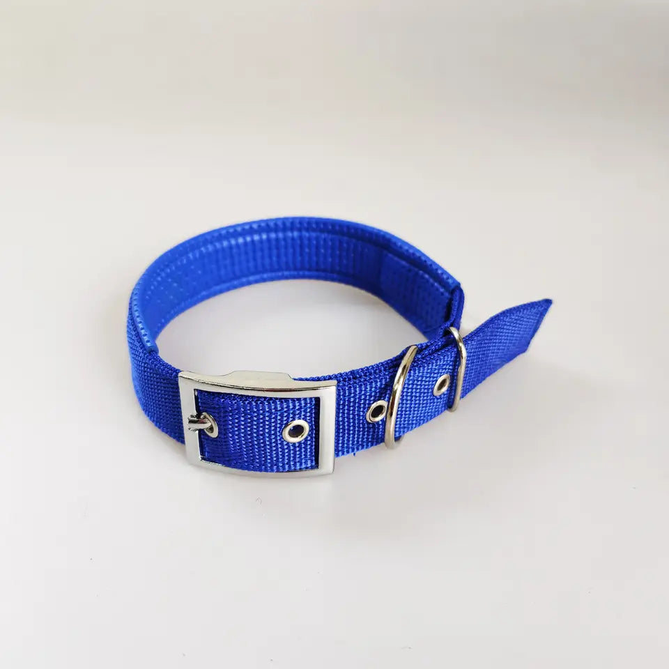 DOG COLLAR,  NYLON - SMALL SIZE