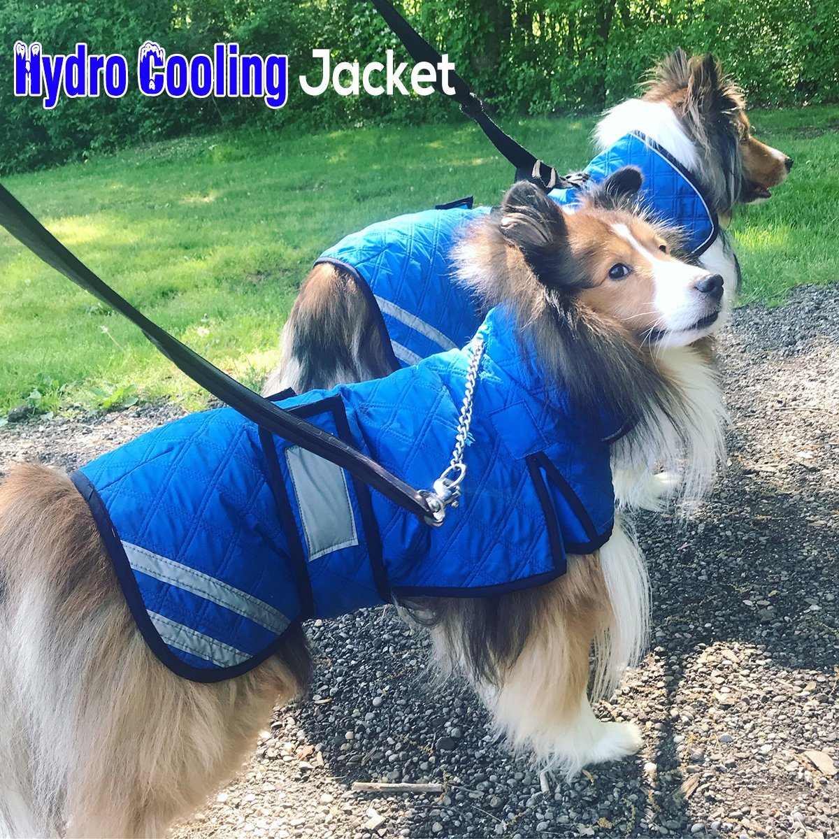 Derby Originals Hydro Cooling Dog Jacket – Reflective Evaporative Cooling Vest with Adjustable Belly Band & Harness Opening, Lightweight UV Protection Coat for Hot Weather & Outdoor Dogs