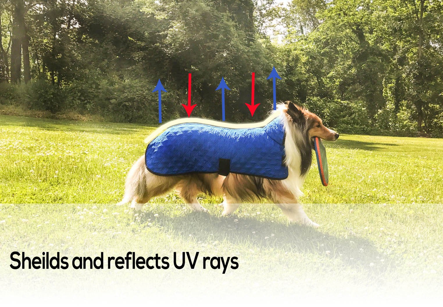 Derby Originals Hydro Cooling Dog Jacket with Harness Compatible Opening, Reflects Heat & Keeps Dogs Cool for up to 10 Hours
