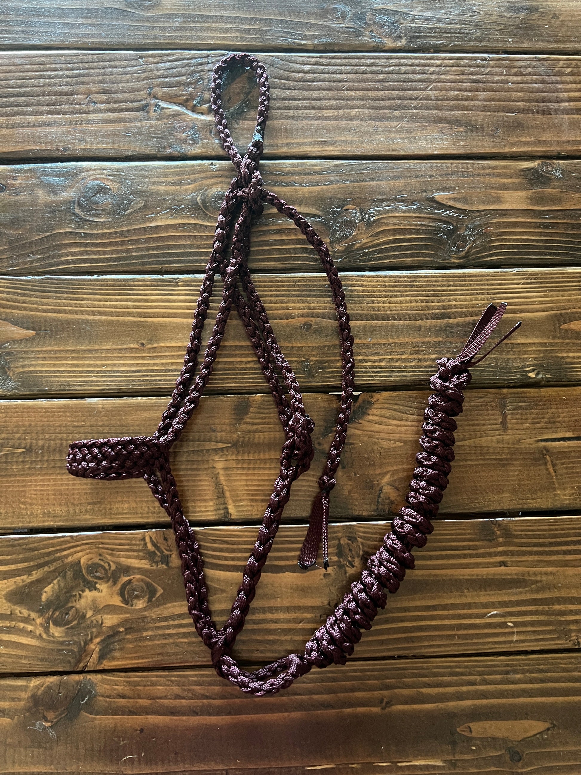 Burgundy Mule Tape Halter