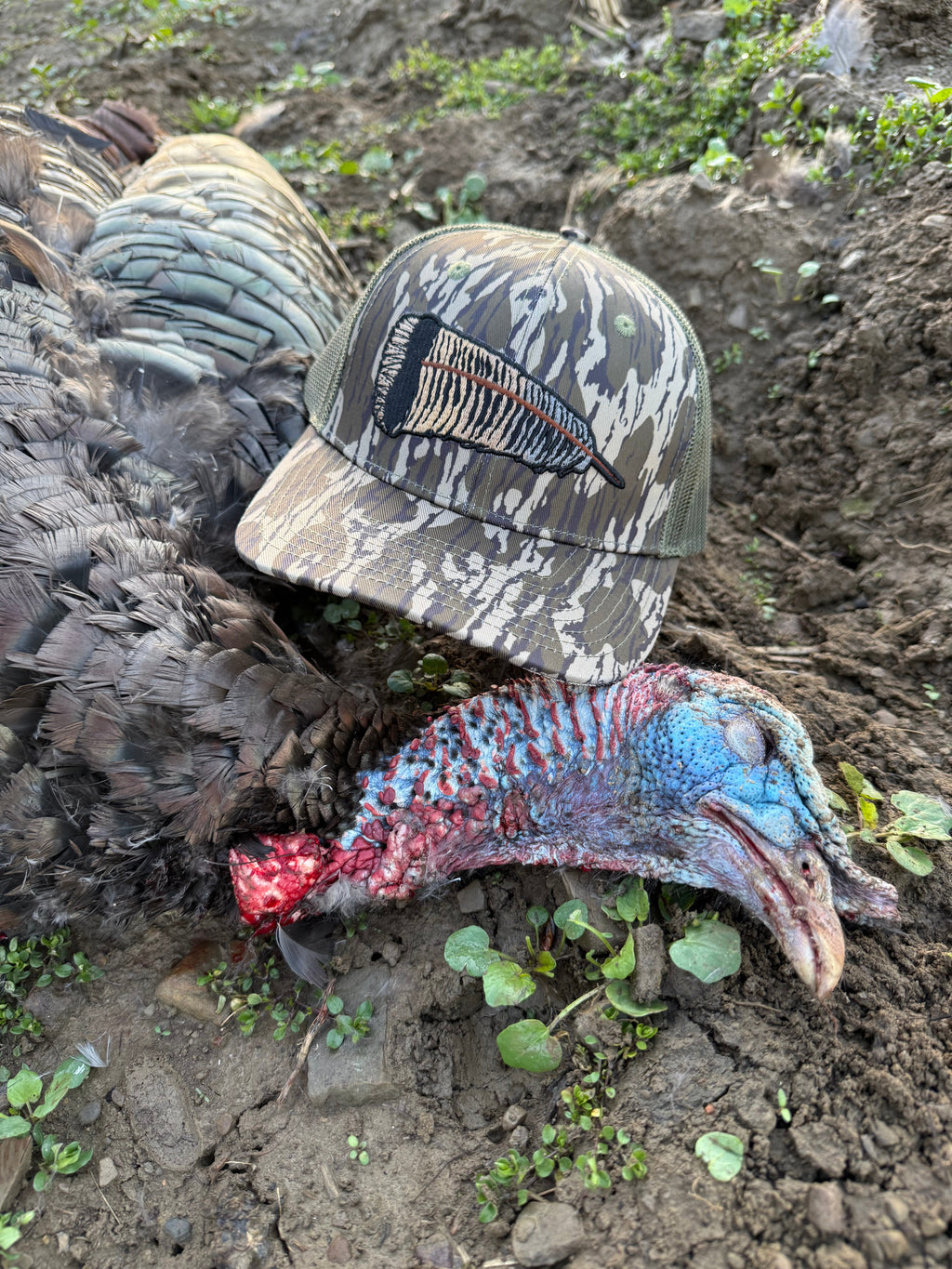 Whitetail Co. | Fallen Feather | Tree Bark | 6 Panel