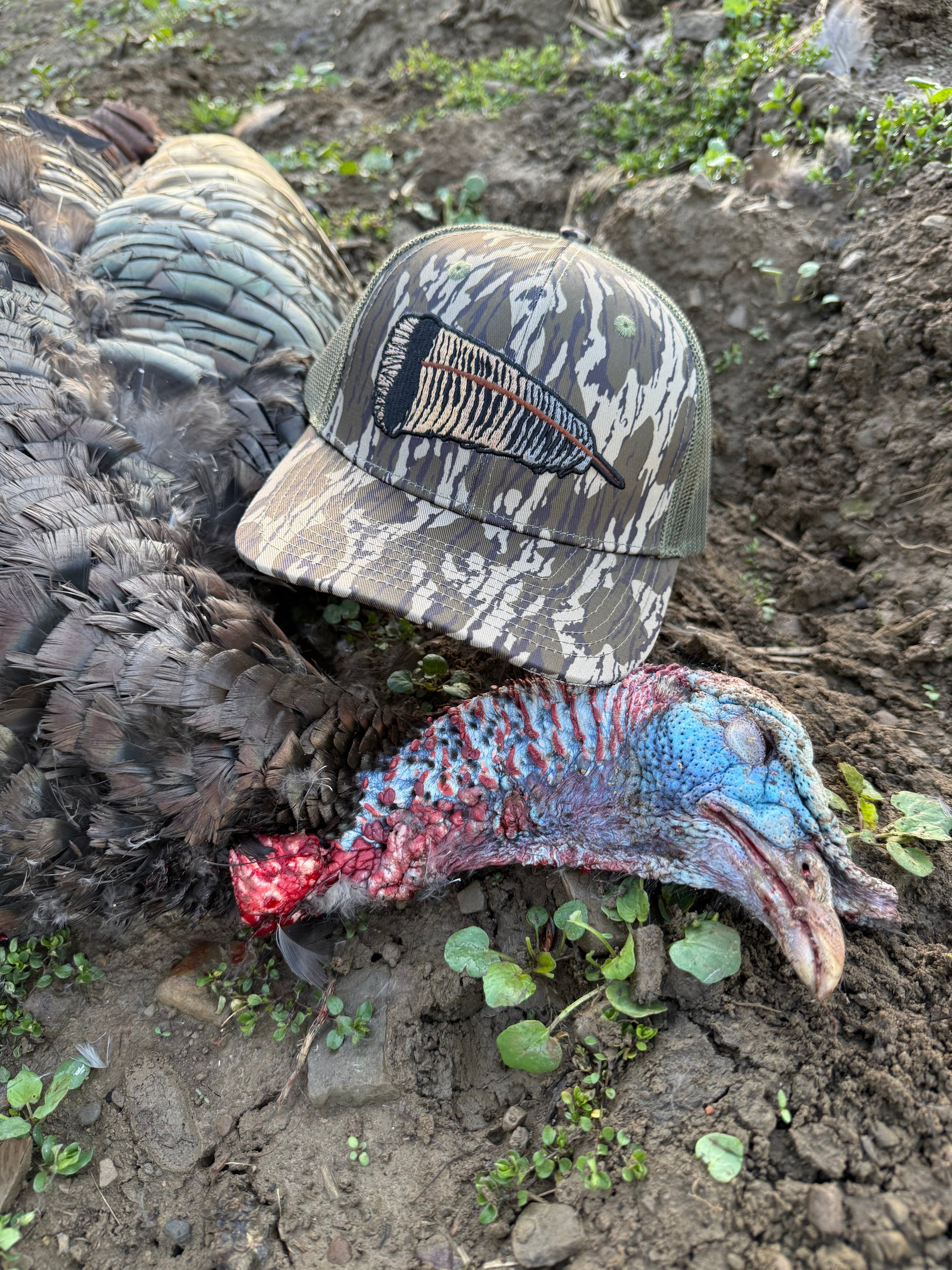 Whitetail Co. | Fallen Feather | Tree Bark | 6 Panel