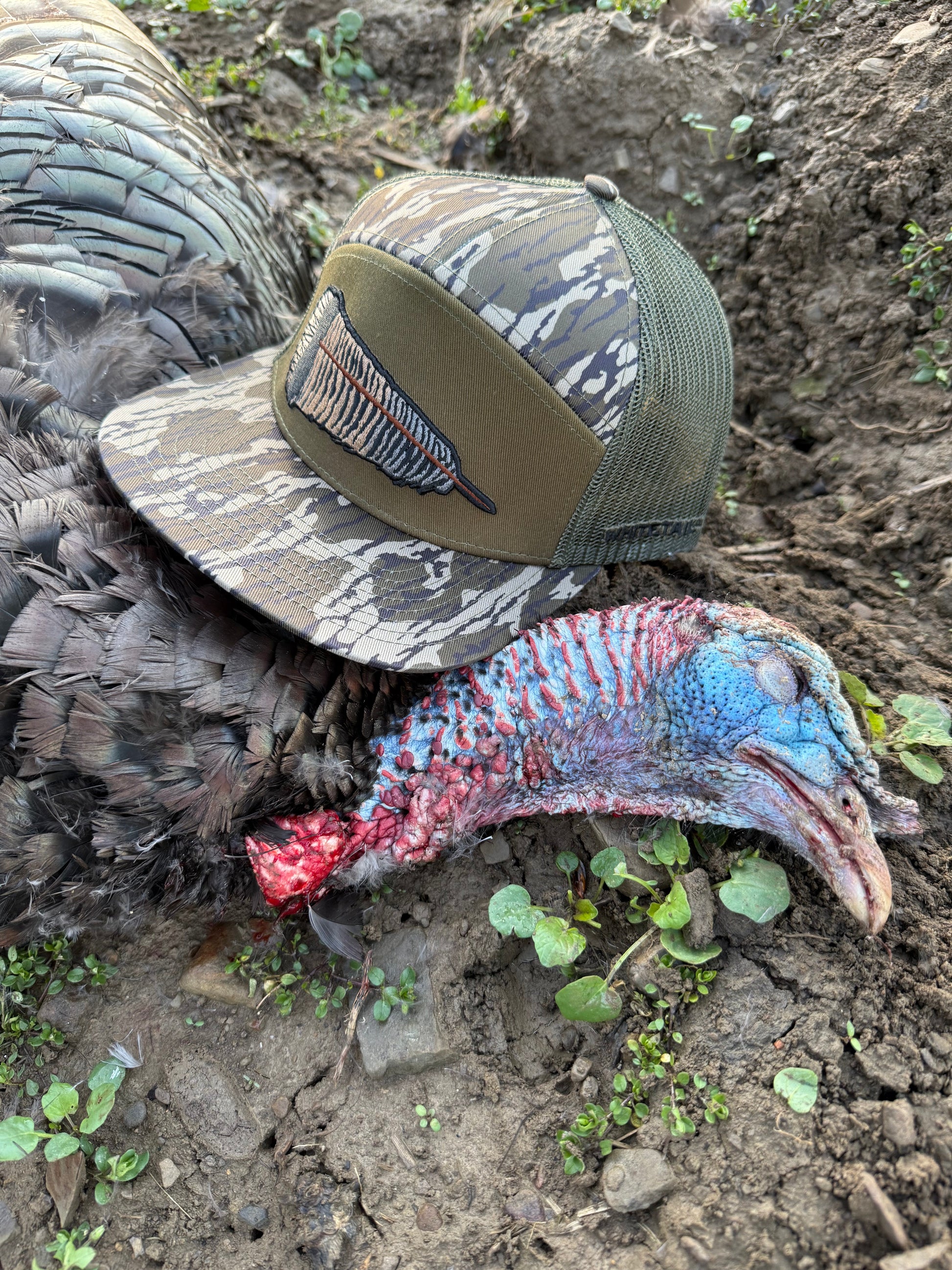 Whitetail Co. | Fallen Feather | 7 Panel | Tree Bark