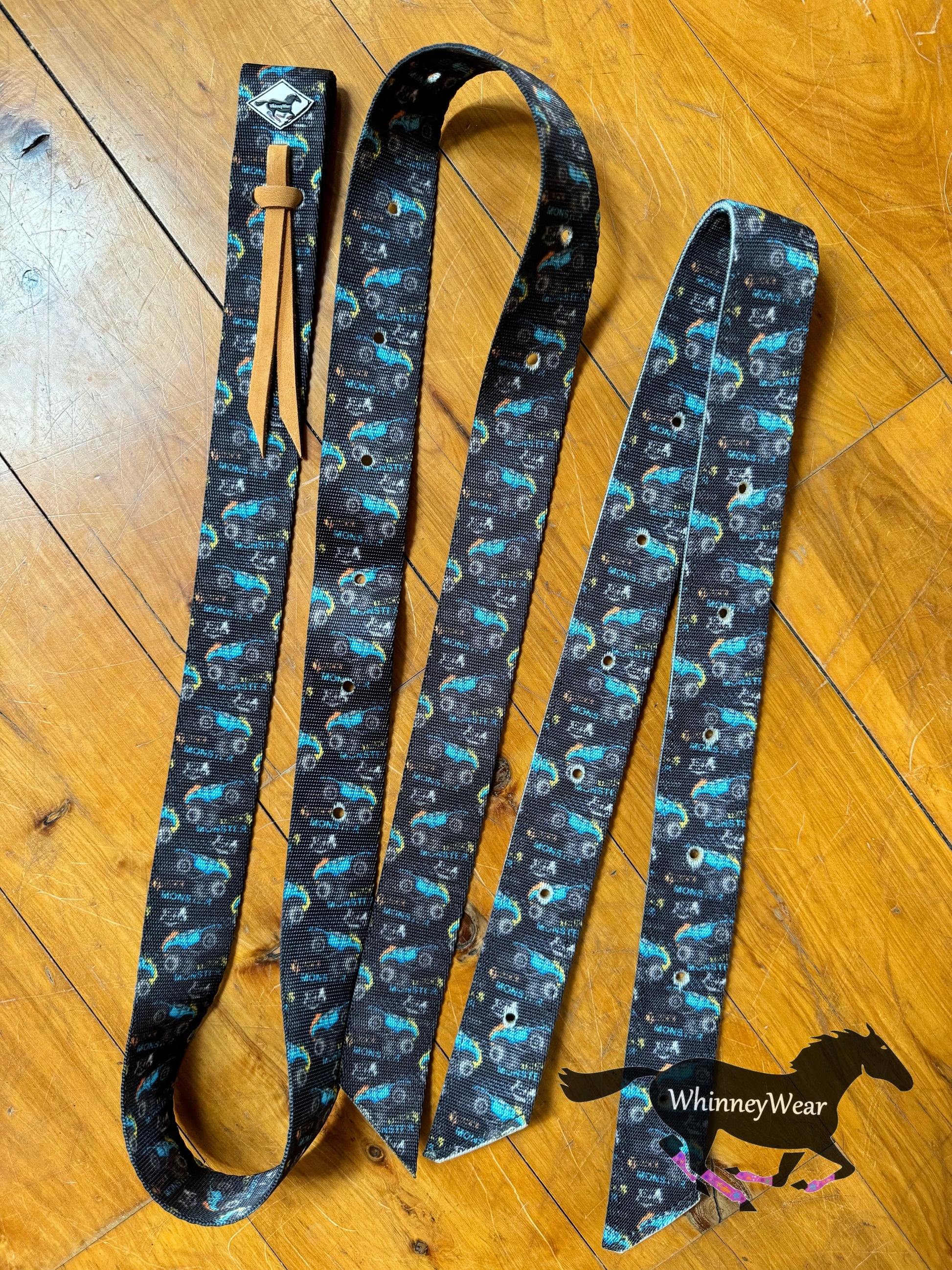 Monster Trucks Cinch Set