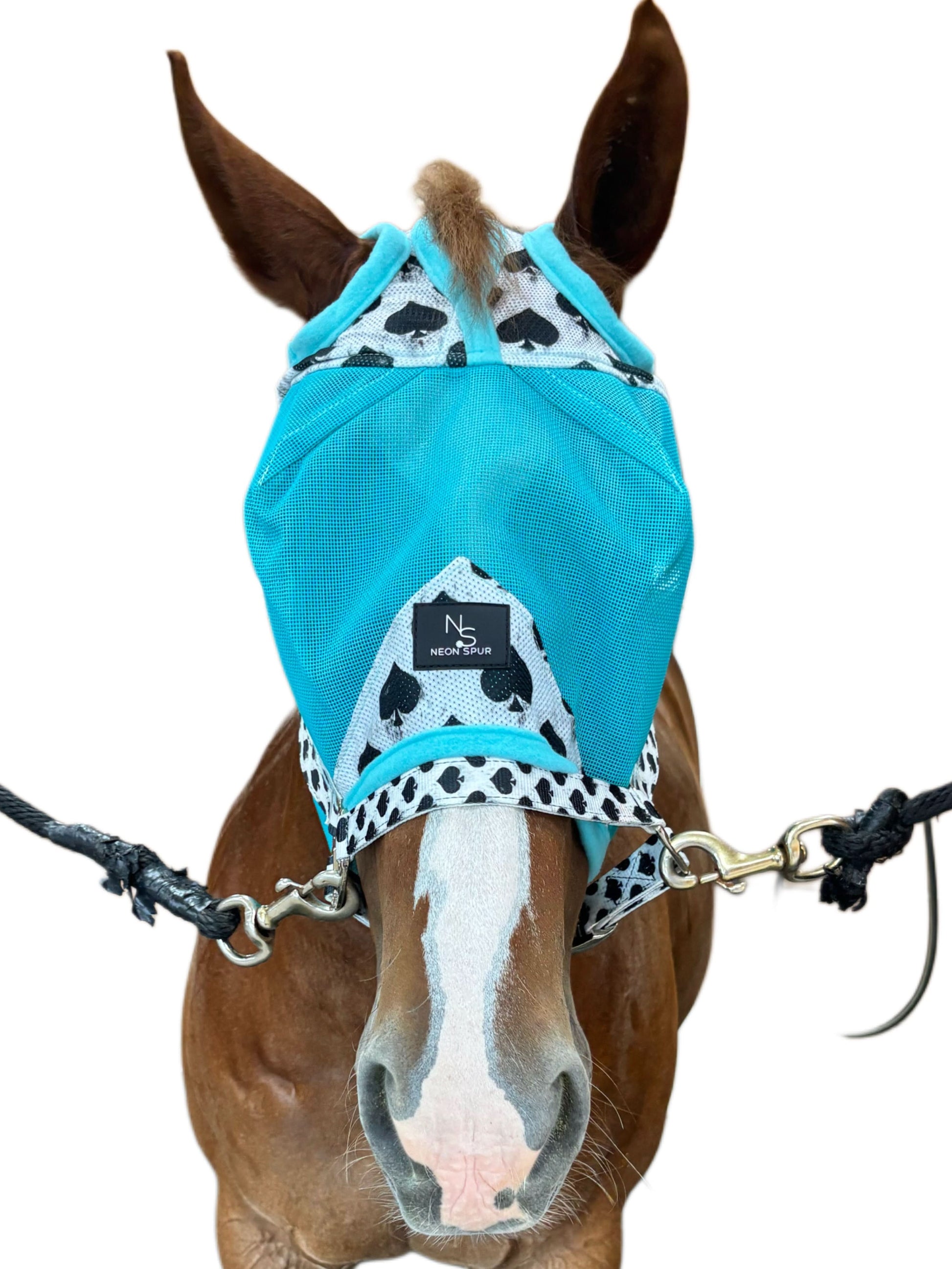Smokin Spades Nylon Quick-Release Horse Halter