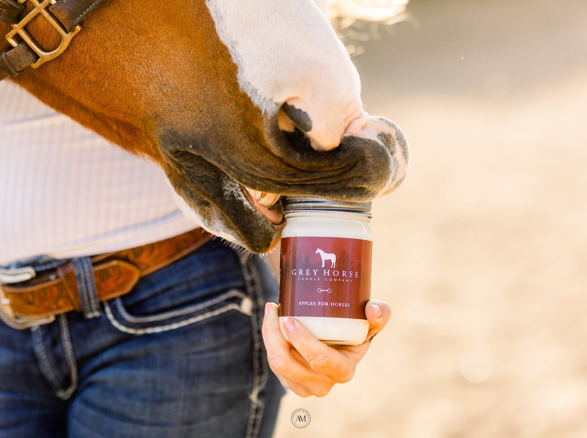 APPLES FOR HORSES