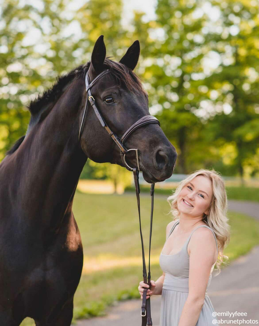 Replacement Noseband of ExionPro 'Perseus' Anatomical Jumping Bridle without Flash