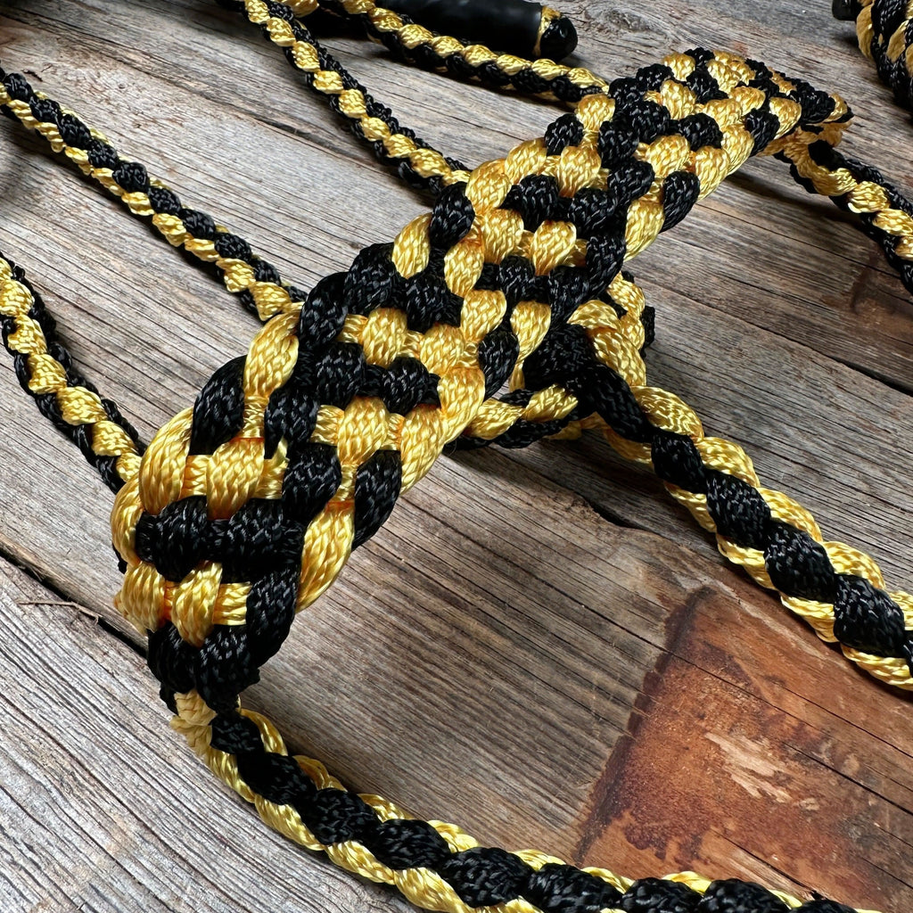 Gold and Black Mule Tape Halter
