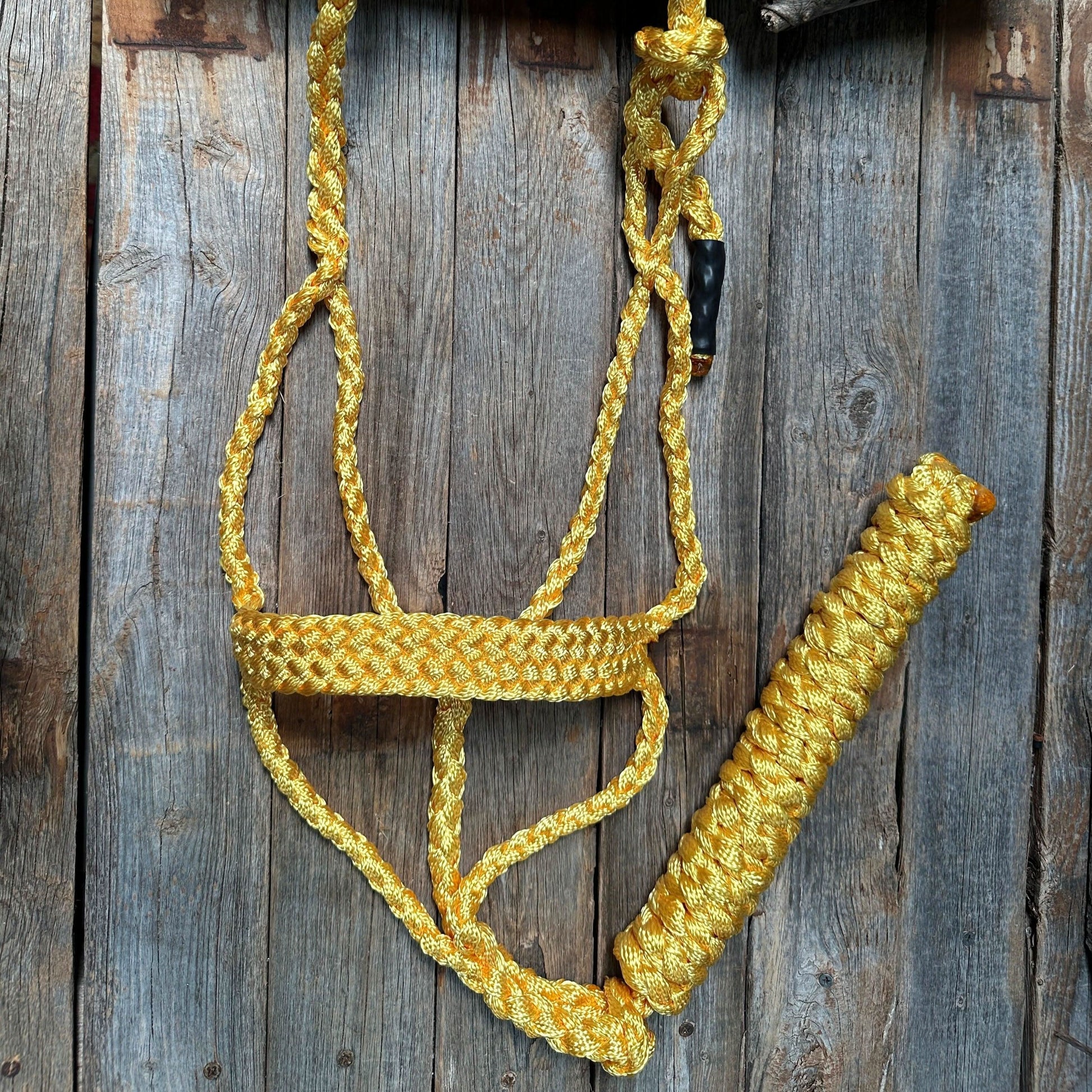 Gold Mule Tape Halter