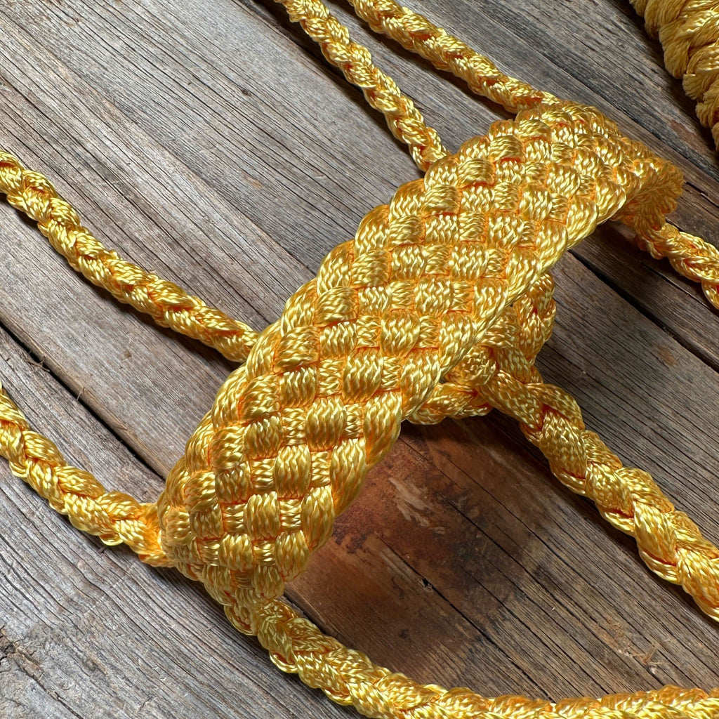 Gold Mule Tape Halter