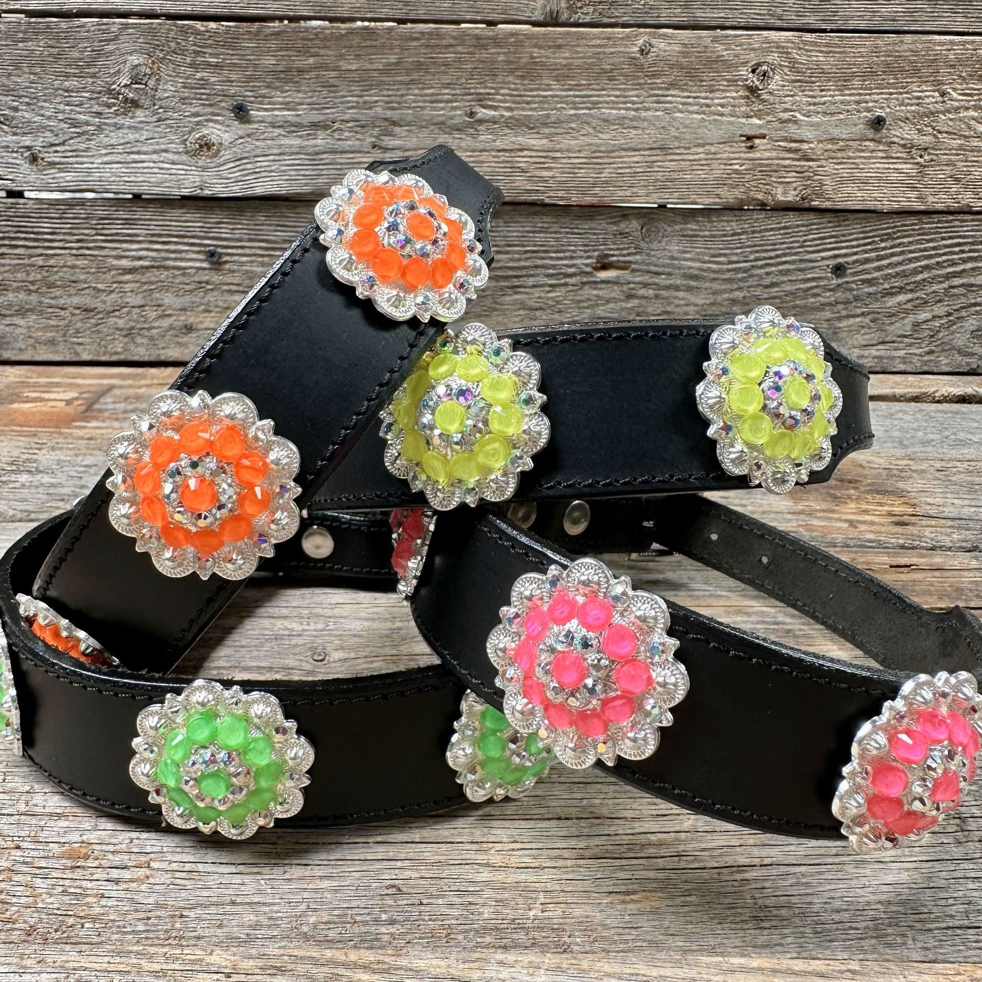 DC18- Neon Concho Dog Collar