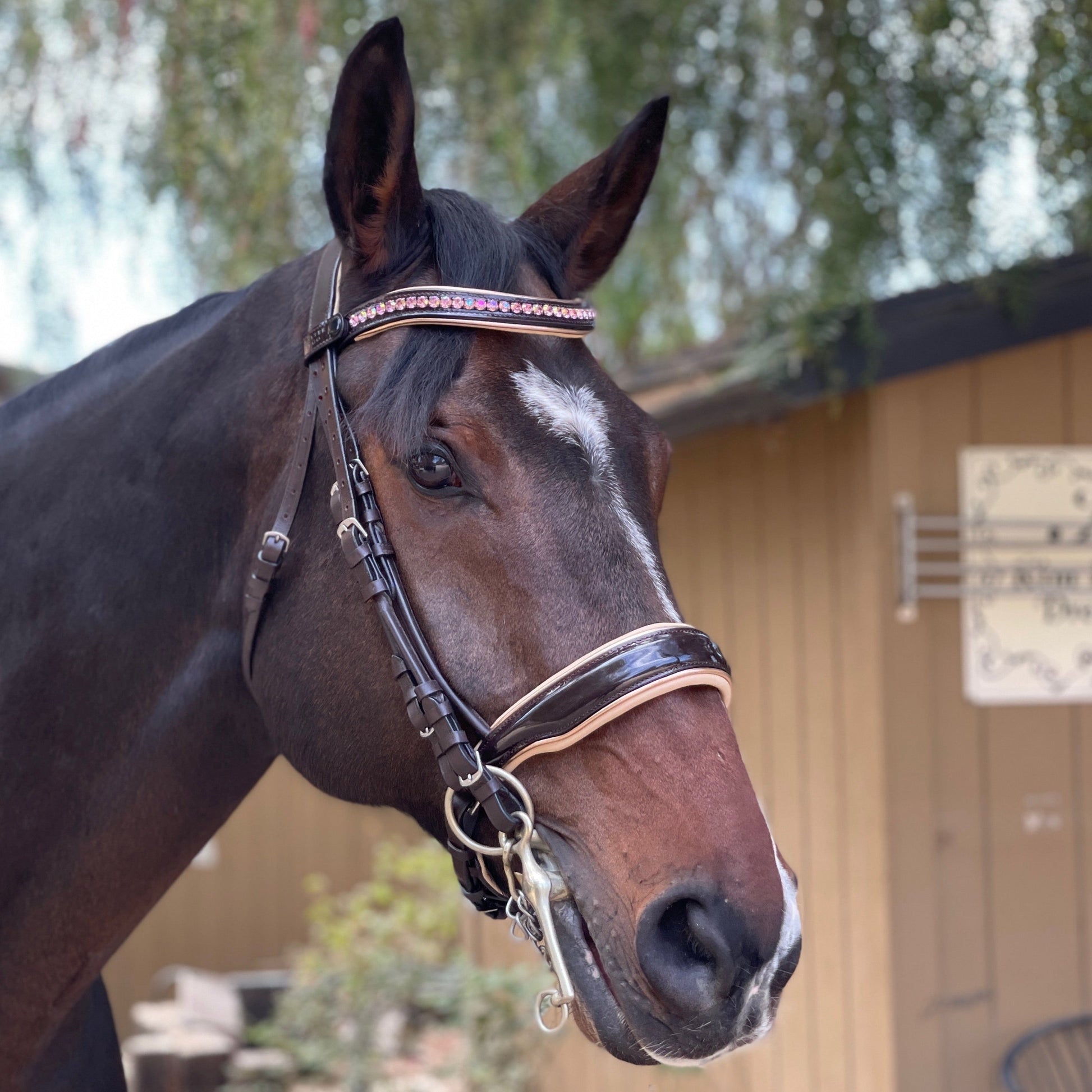 Florence - Brown Patent Leather Double Bridle with Cream Padding & Rose Gold Piping
