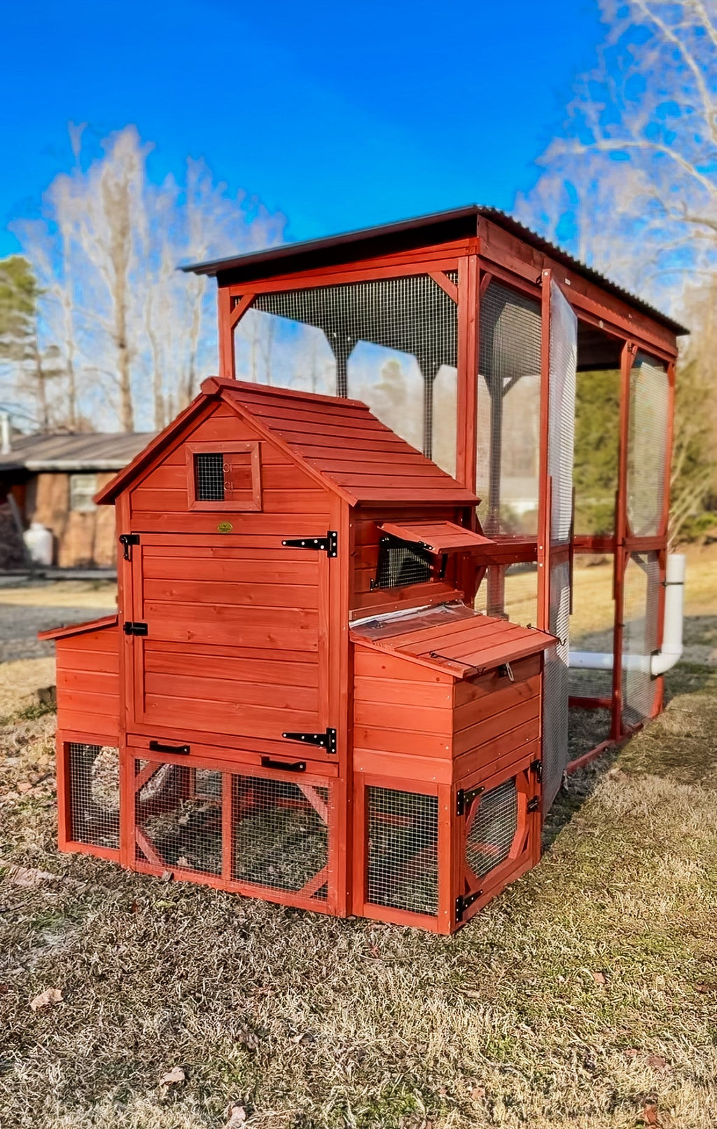 Chicken Coop for 6 Chickens – Orpington Lodge