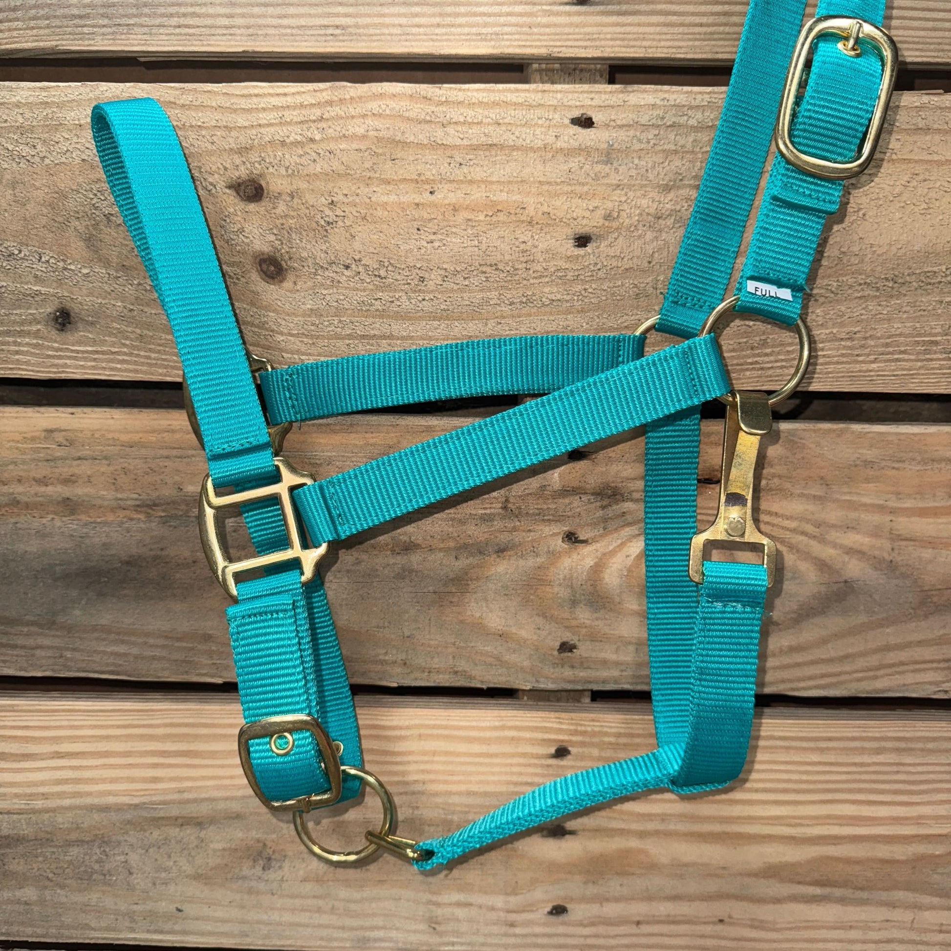 Teal  Nylon Horse Halter NHTEAL